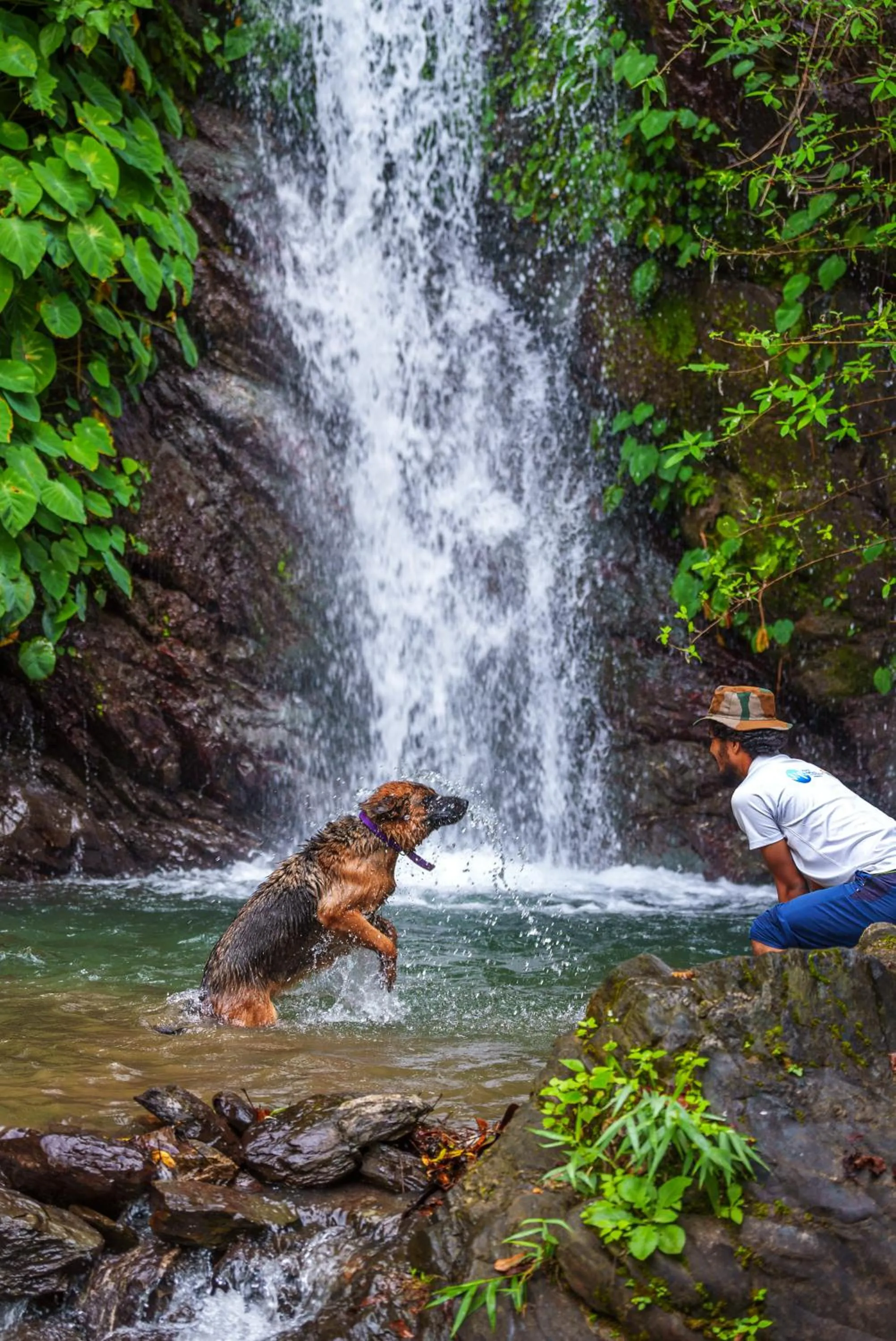 Activities in Banyan By The Ganges