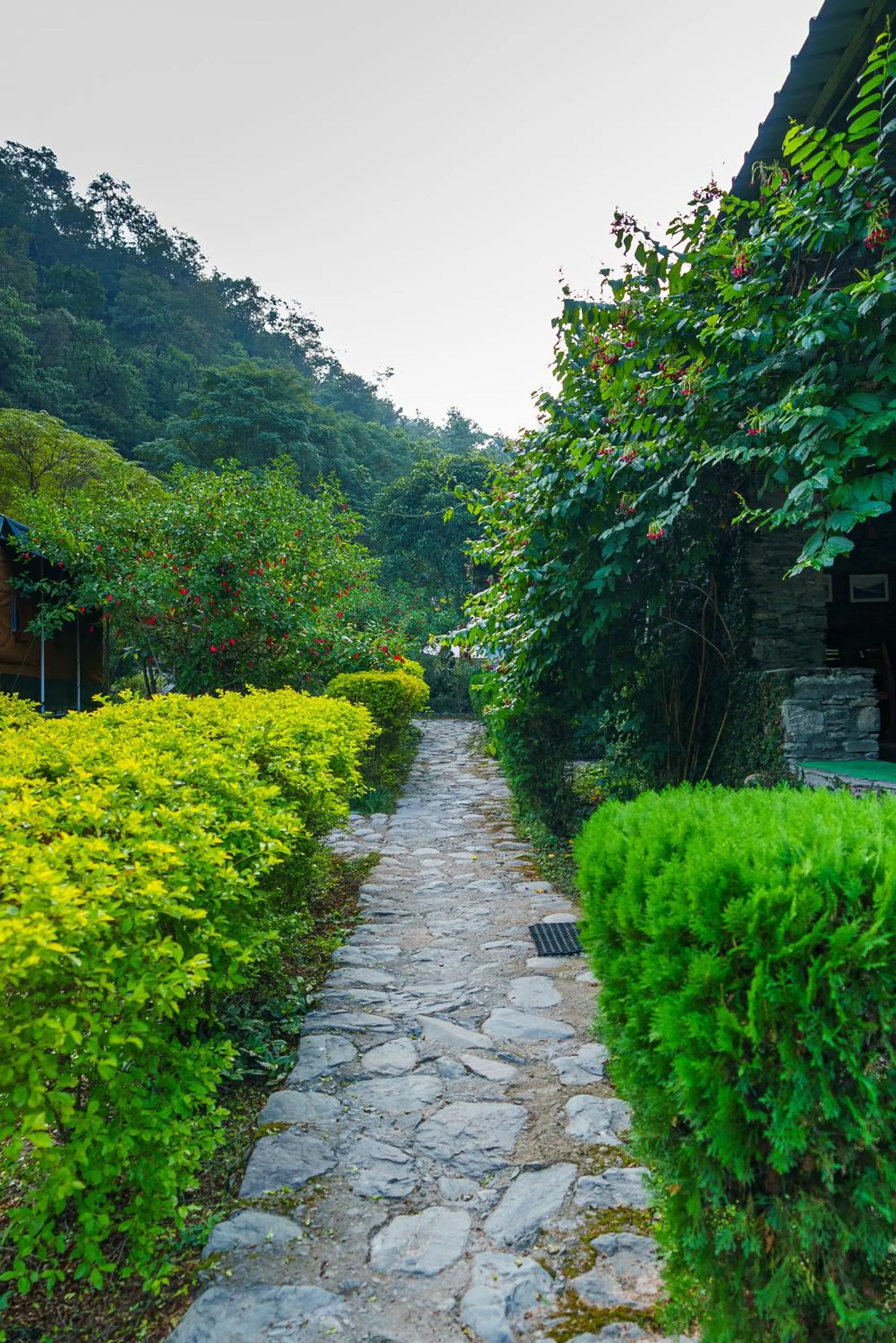 View (from property/room) in Banyan By The Ganges