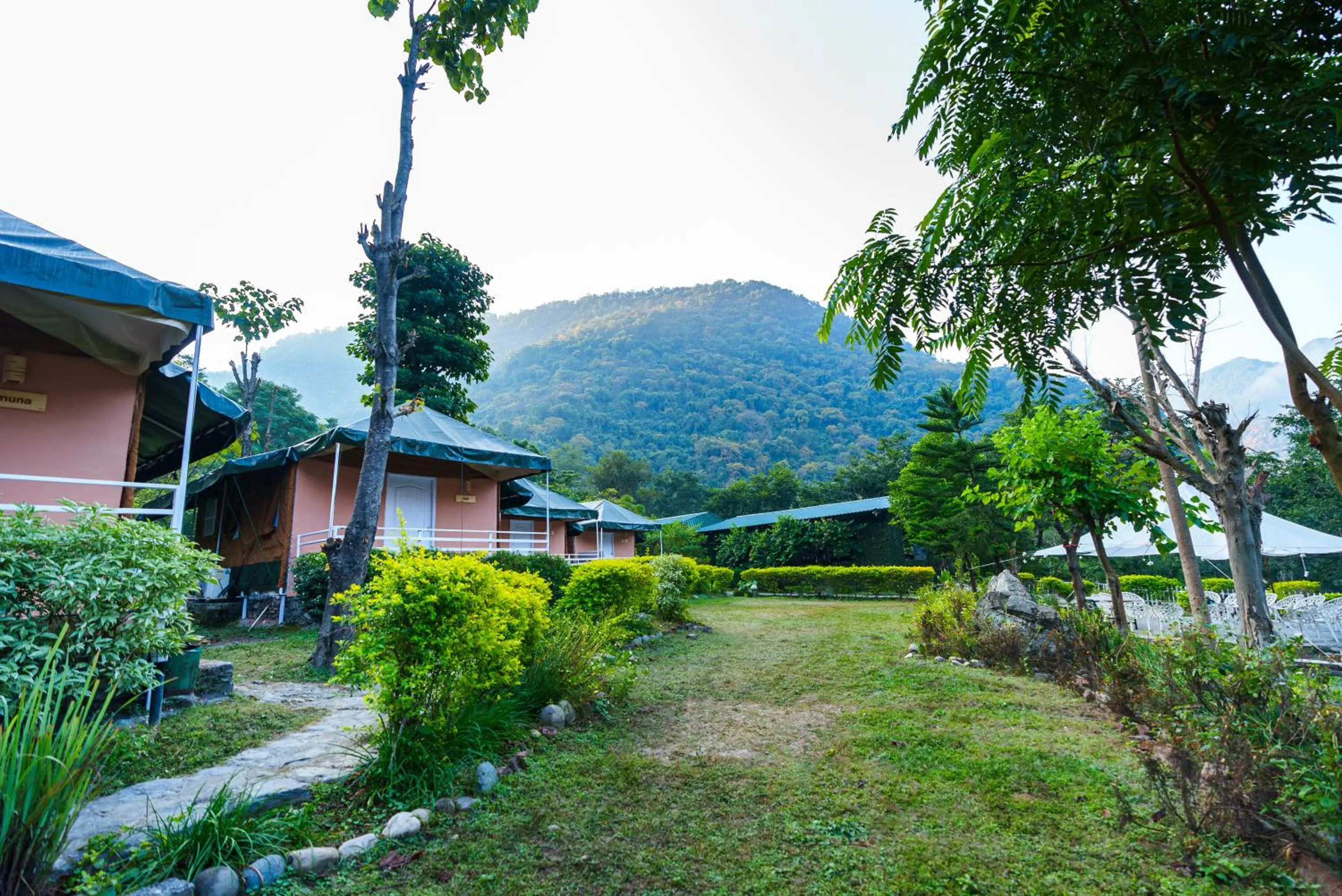 Natural landscape in Banyan By The Ganges