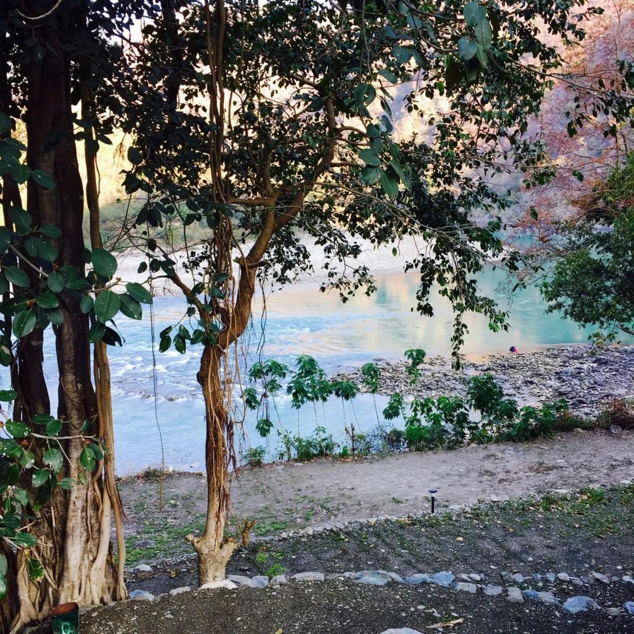 River view in Banyan By The Ganges