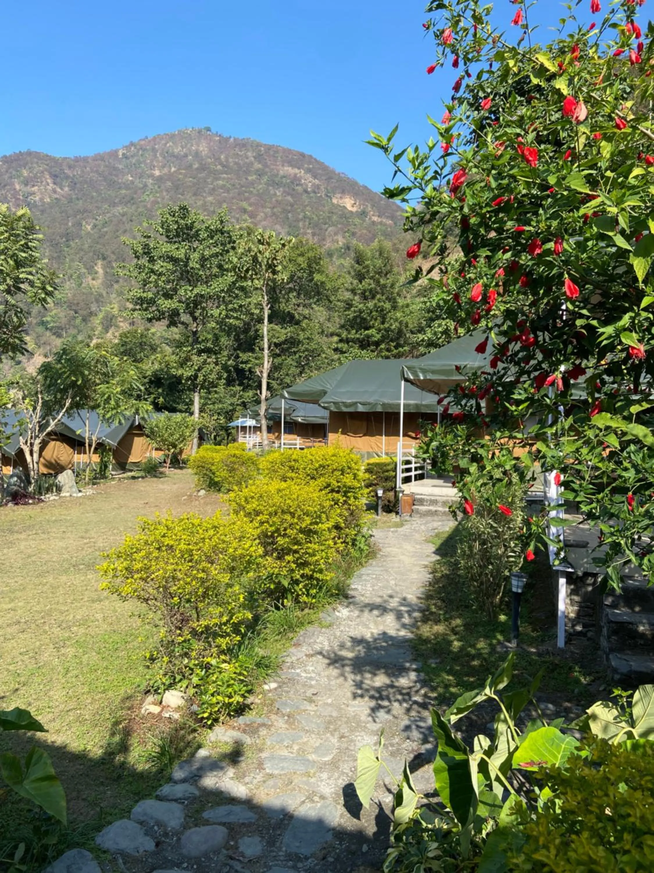 Natural landscape in Banyan By The Ganges
