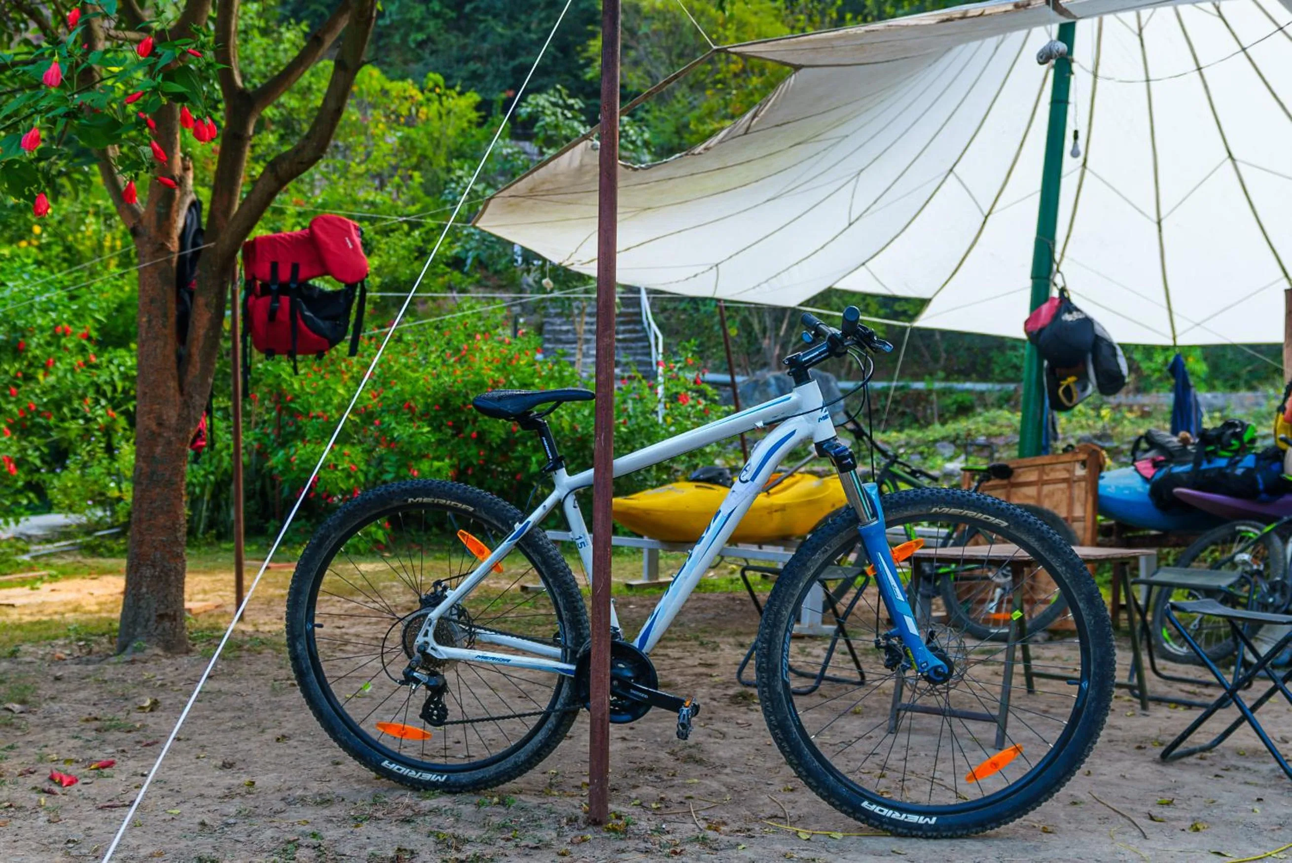 Activities in Banyan By The Ganges
