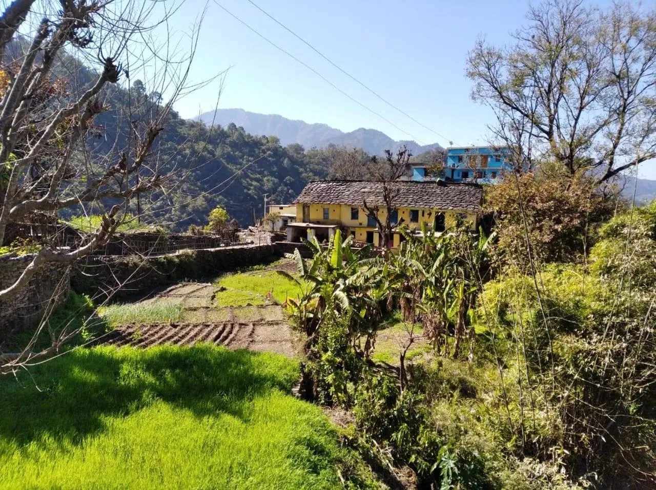 Activities in Banyan By The Ganges