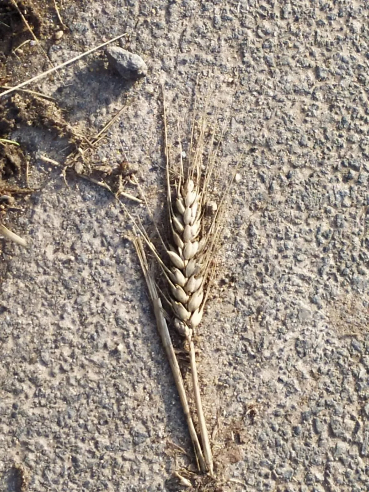 B&B Chambre Chante Cristal