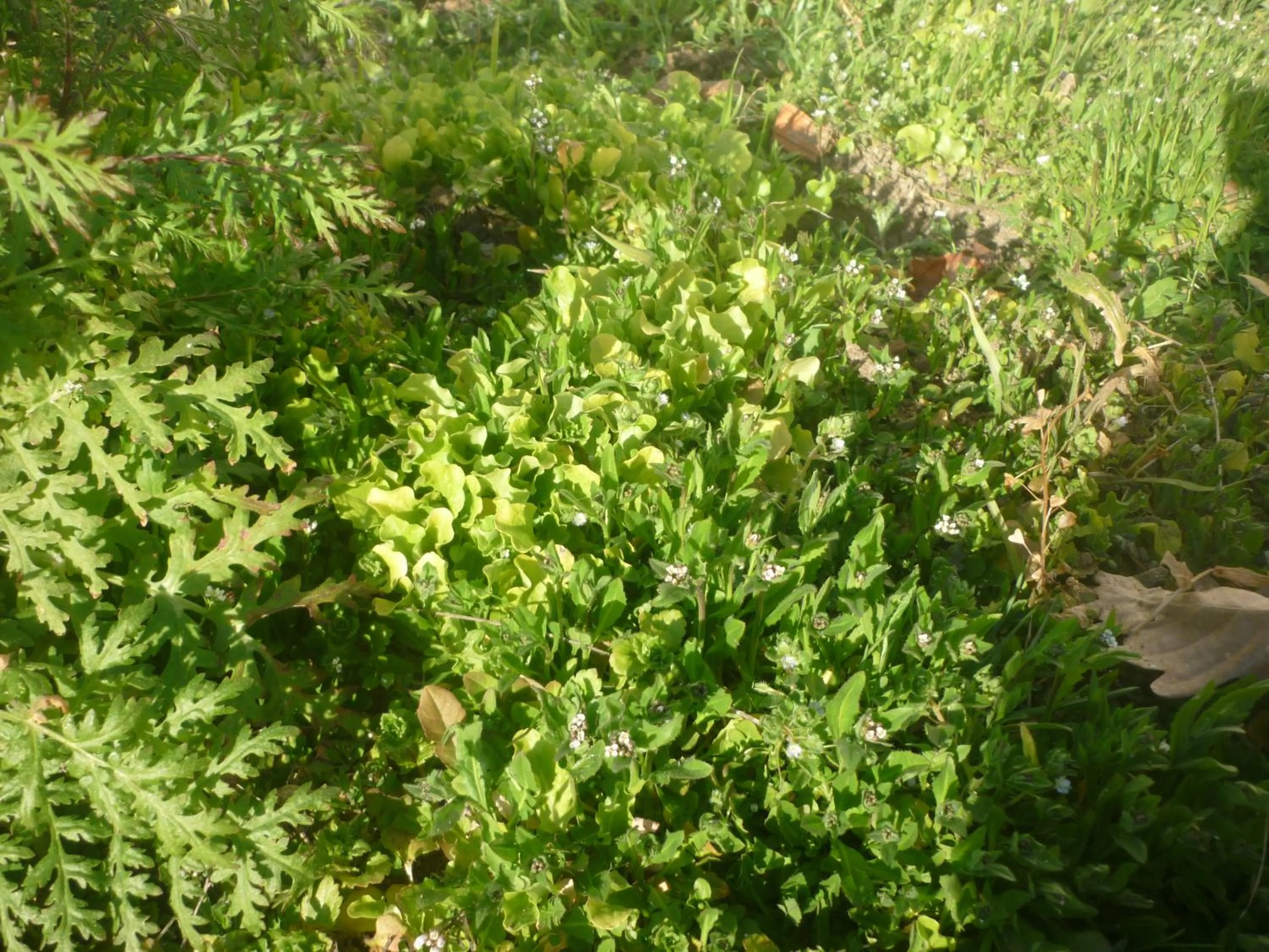 B&B Chambre Chante Cristal