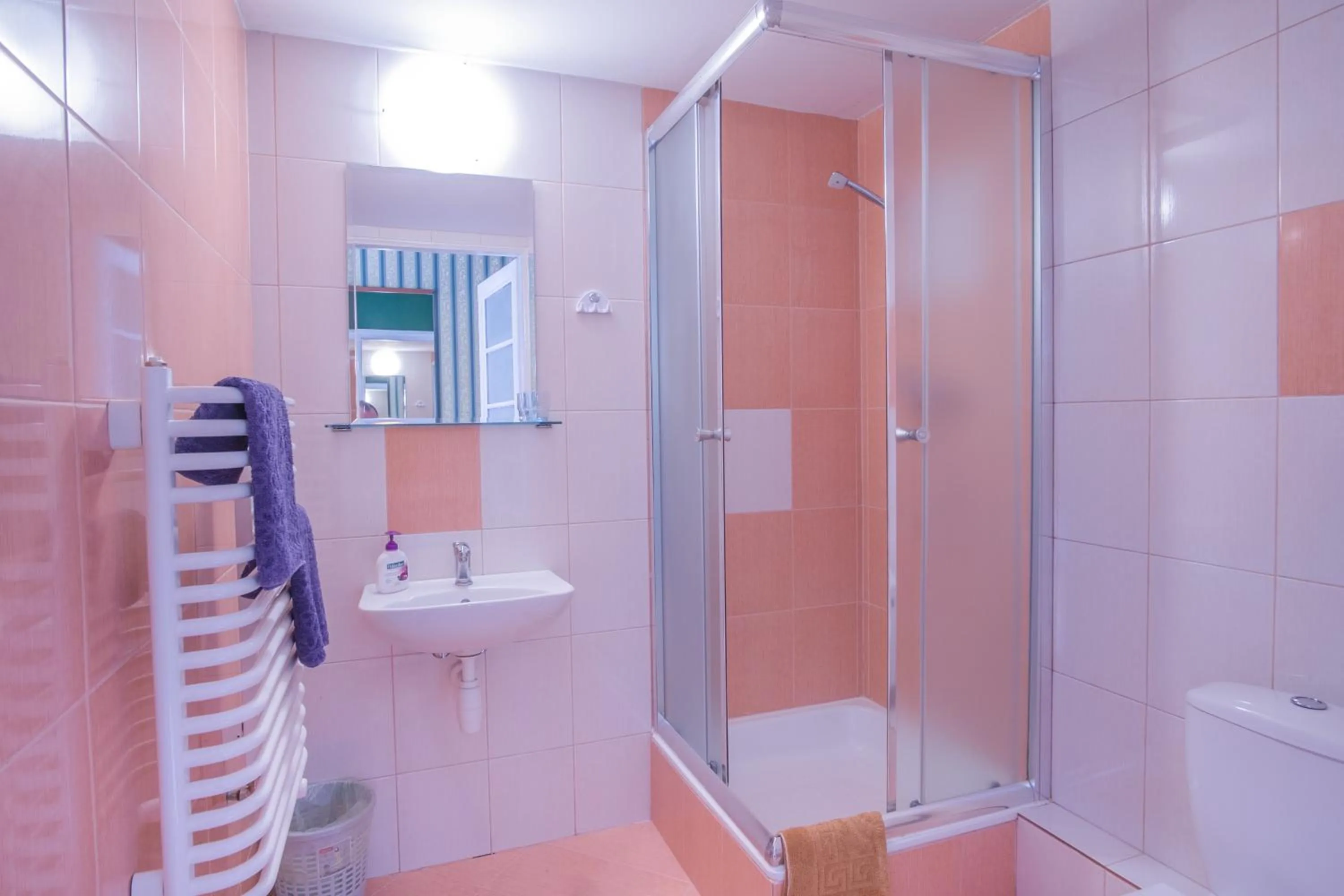 Bathroom in Finger Guest Rooms