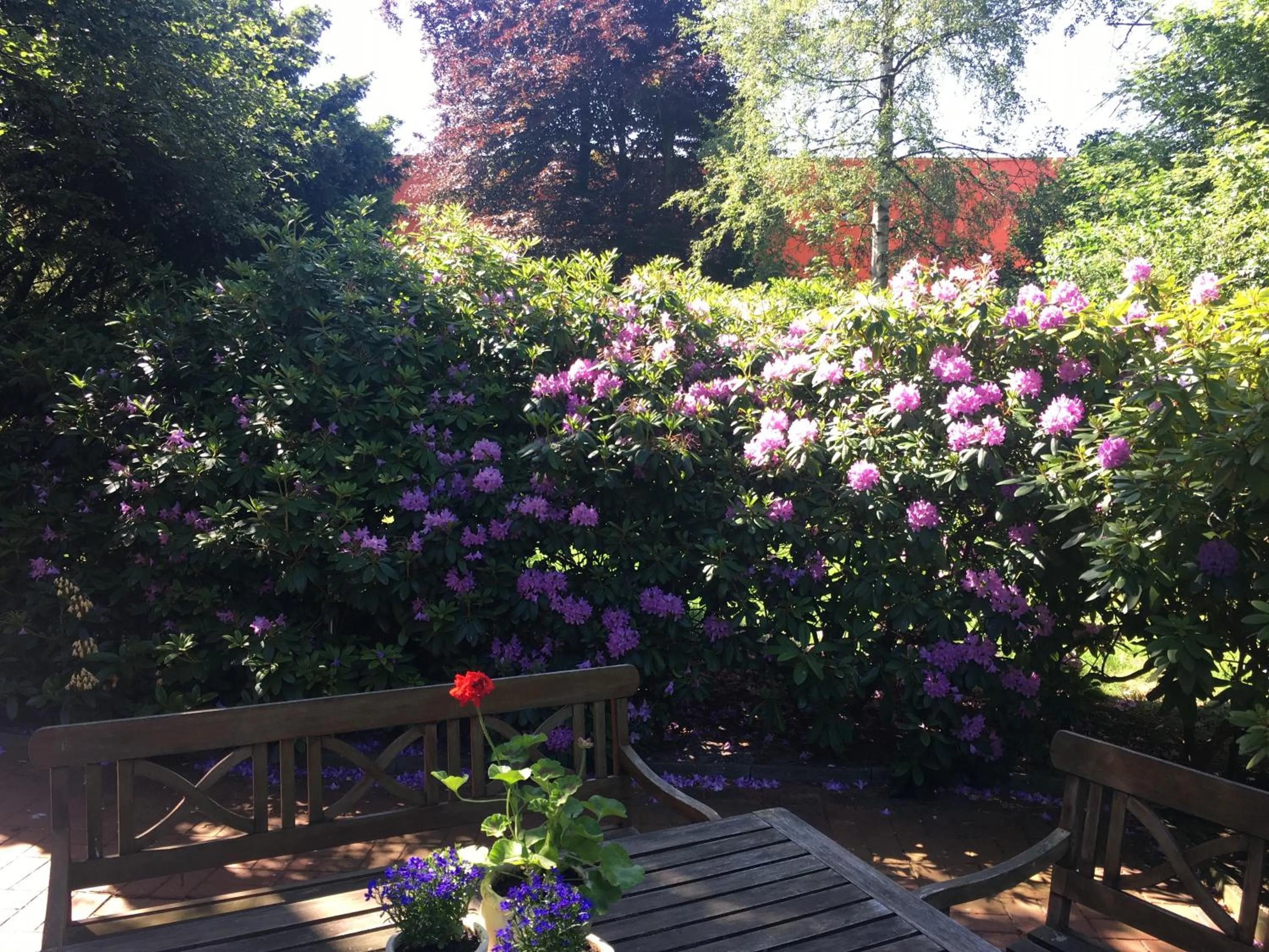 Natural landscape in WH Hotels Papenburg Zentrum