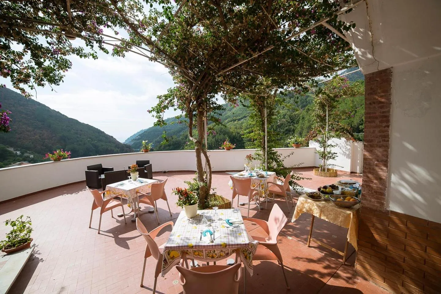 Day in B&B Bouganville