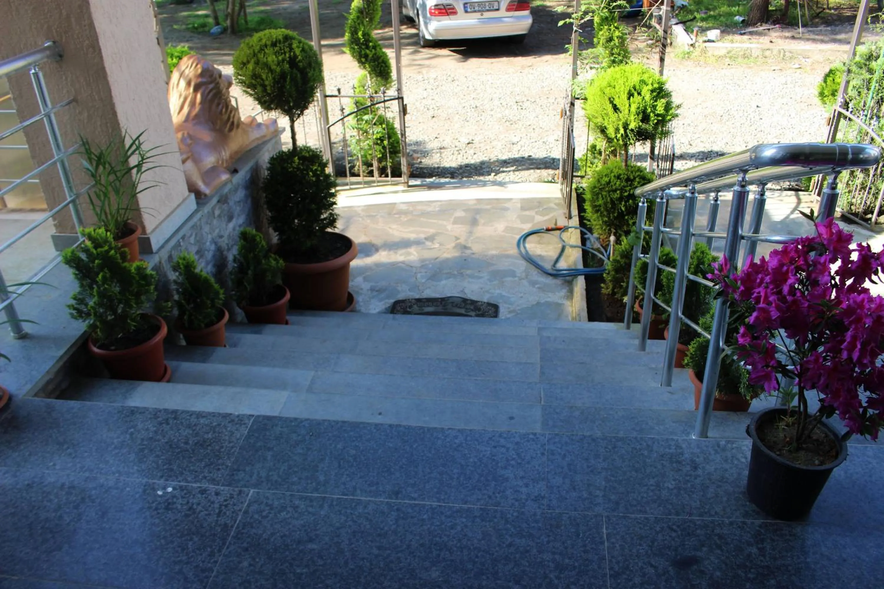 Patio in Hotel Inter