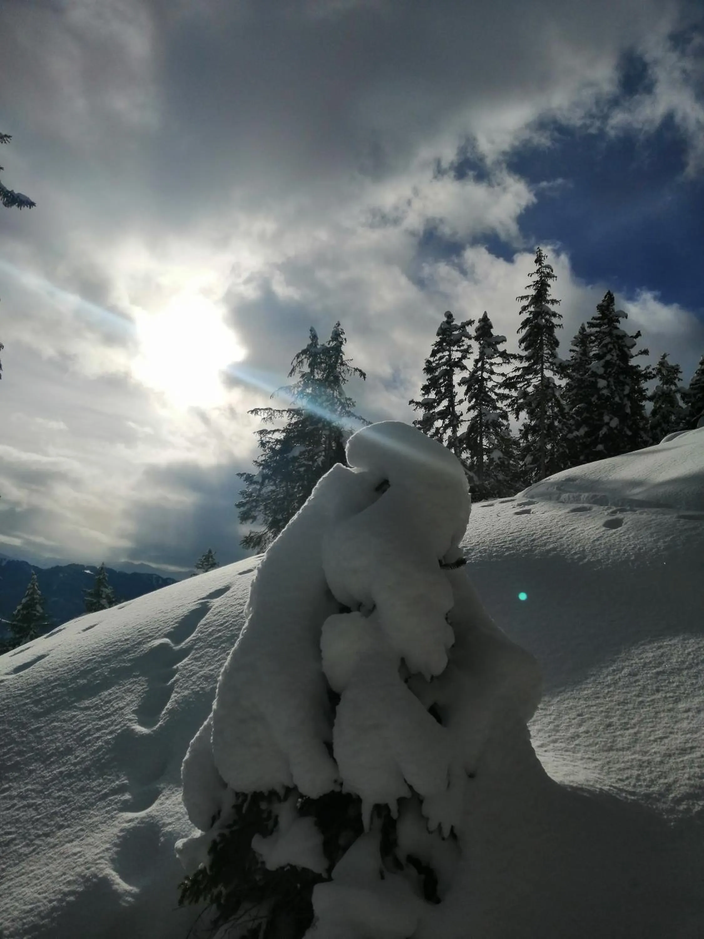 Natural landscape in Hotel Garni Alpendiamant