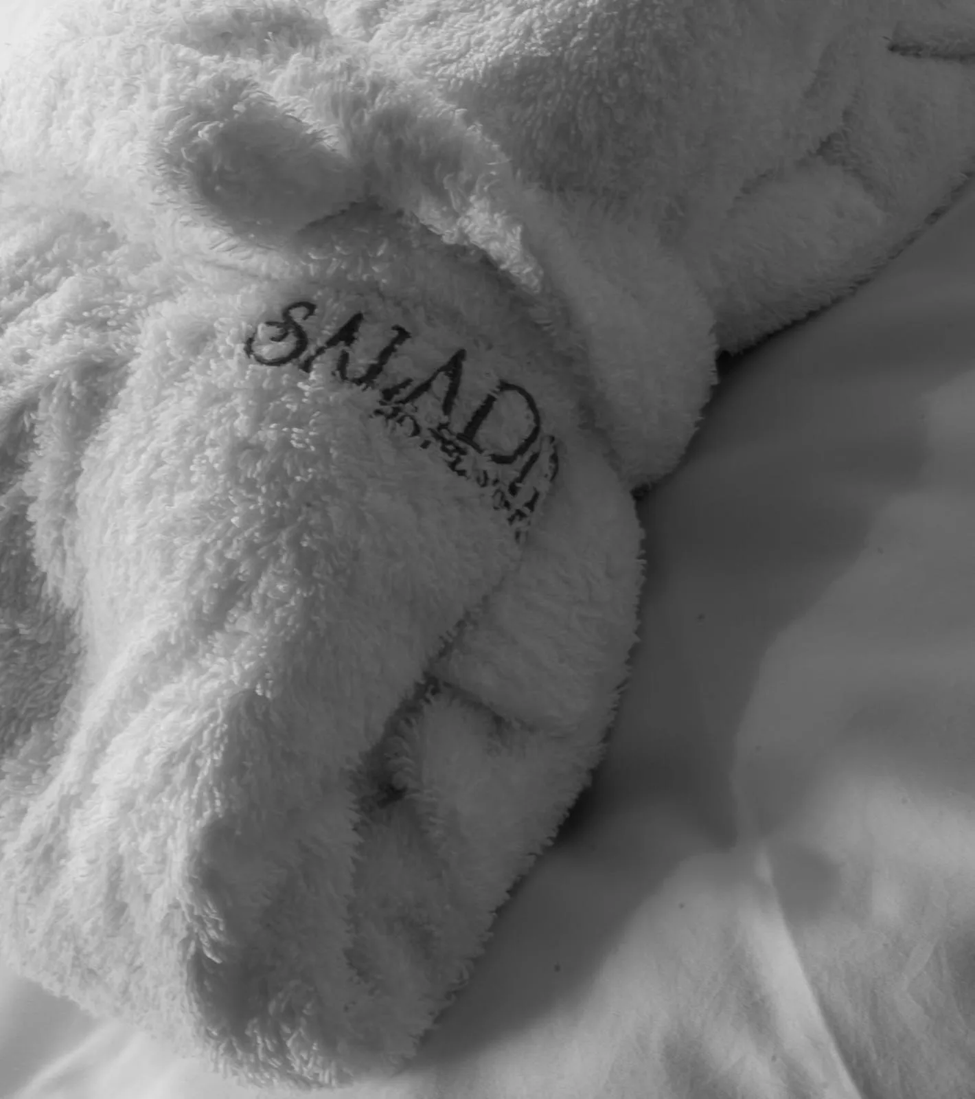 Spa and wellness centre/facilities in Bio-Hotel Saladina