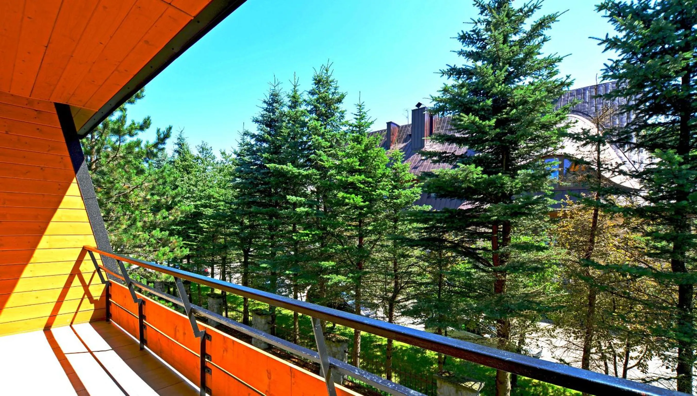 View (from property/room) in Hotel Boruta