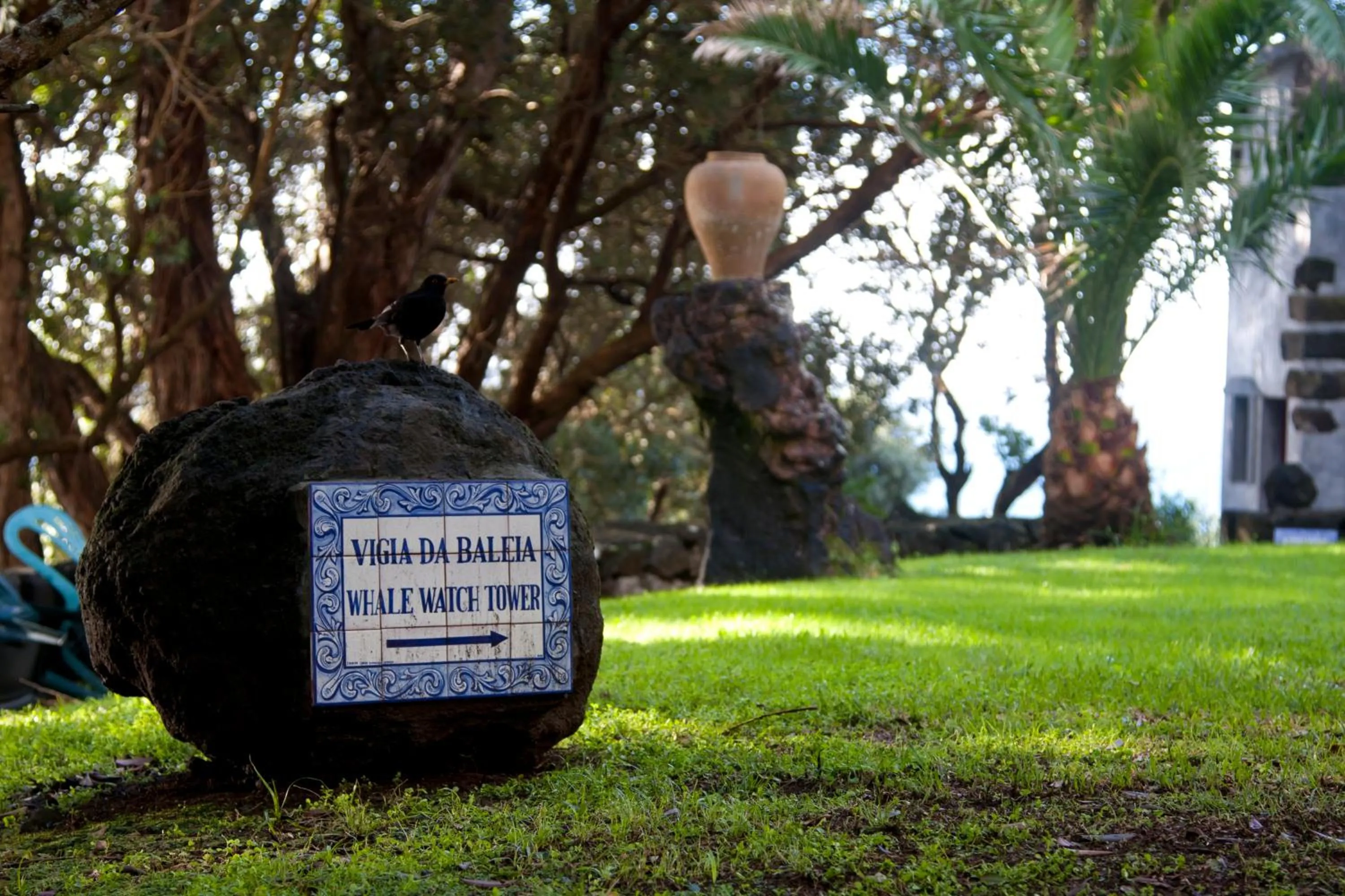 Garden in Aldeia da Fonte Hotel