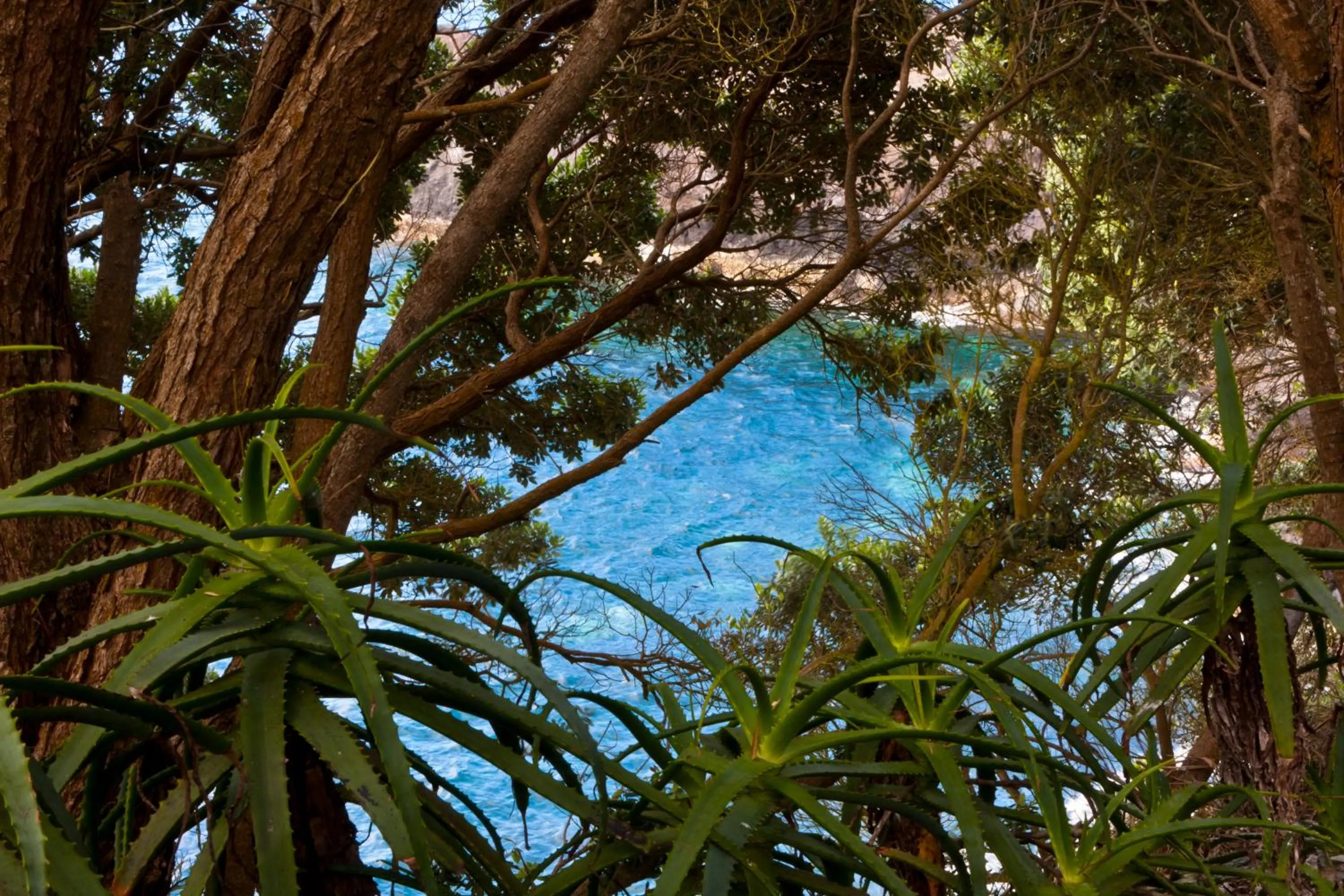 Natural landscape in Aldeia da Fonte Hotel