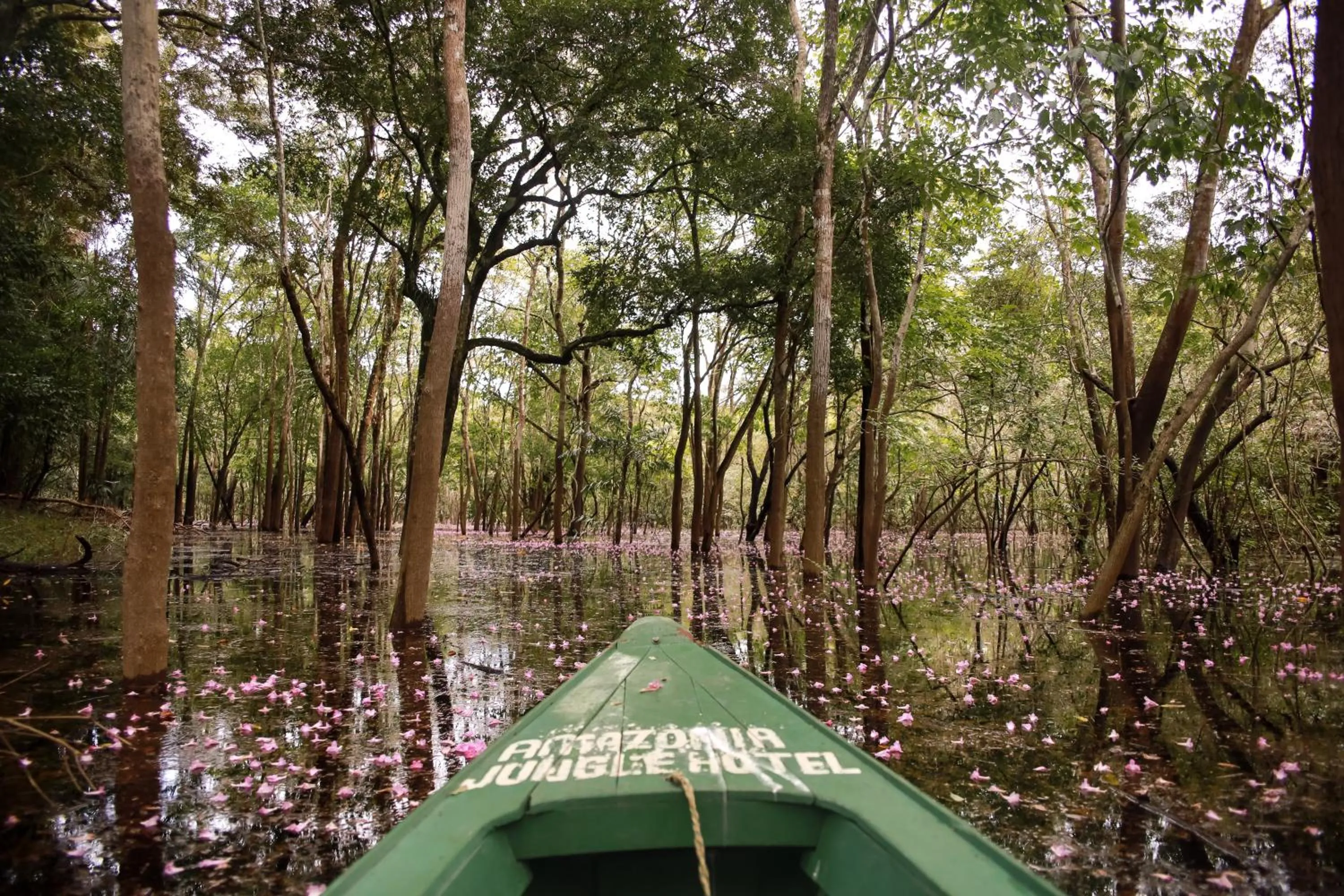 Amazonia Jungle Hotel