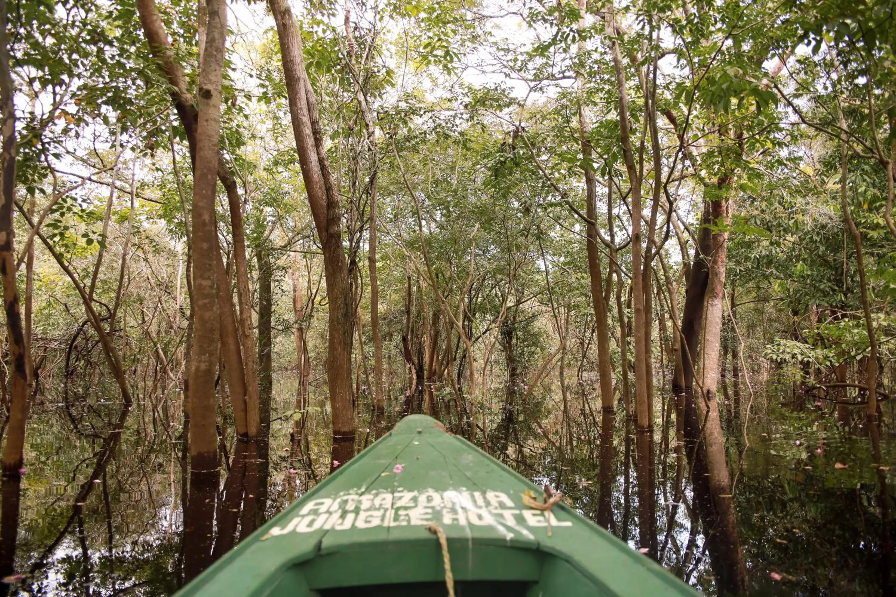 Amazonia Jungle Hotel