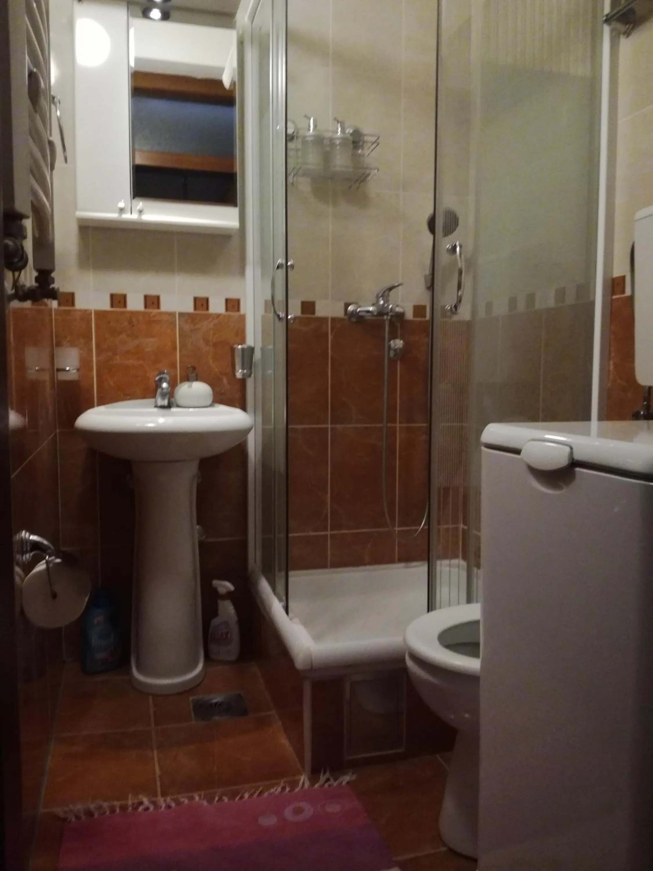 One-Bedroom Apartment in Naissa Apartment