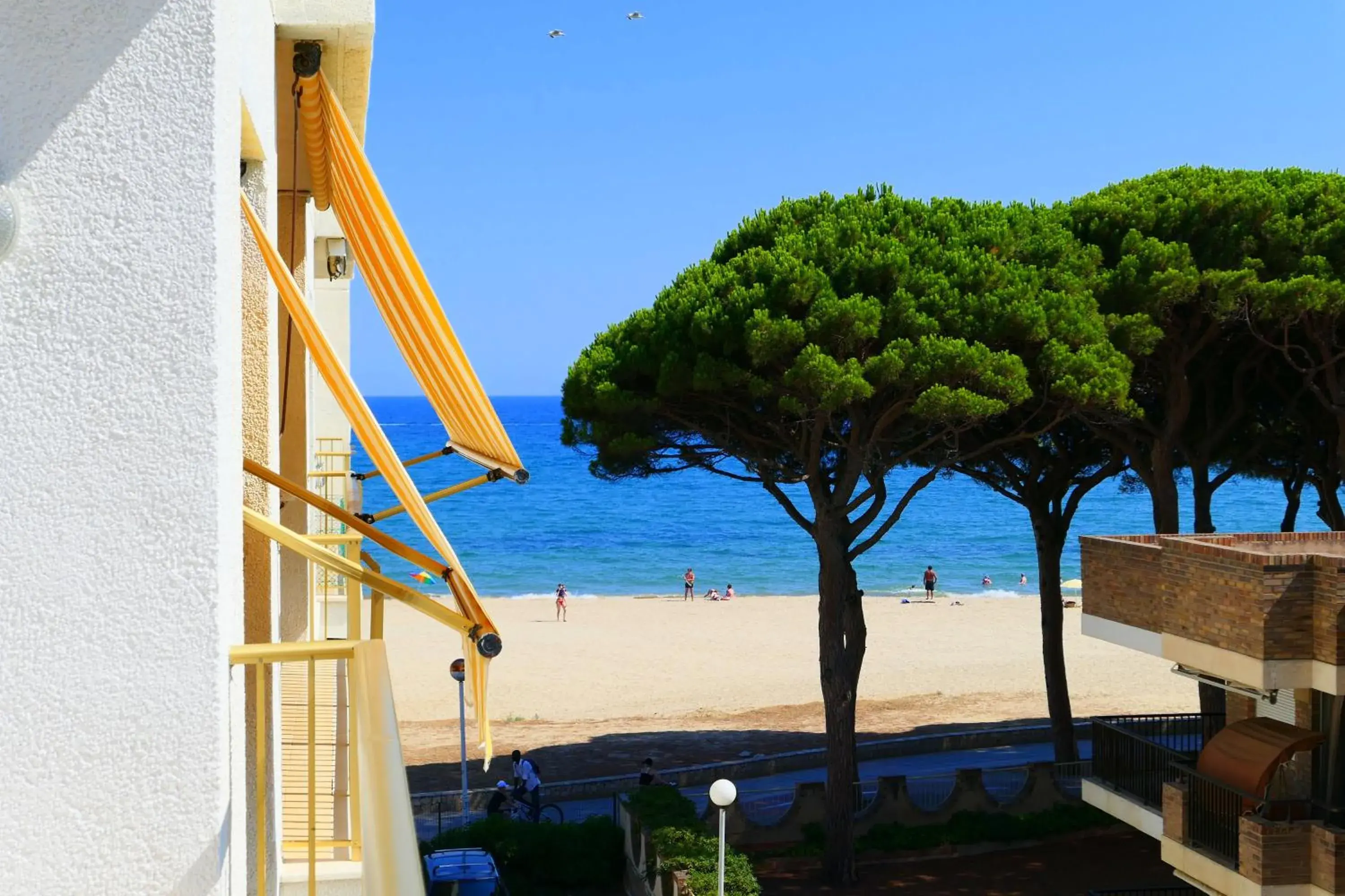 Rentalmar Playmar Rentalmar Playmar