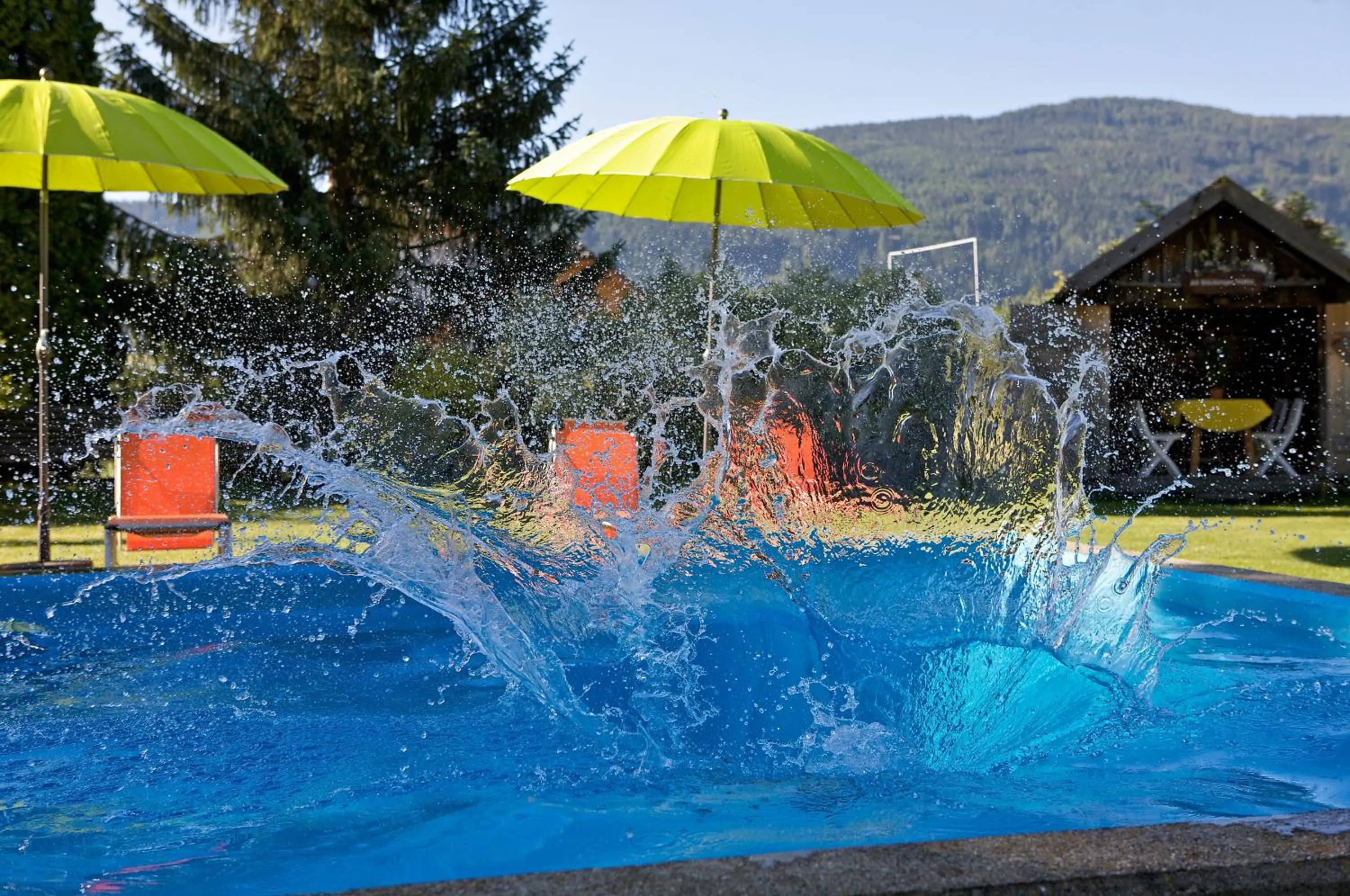 Garden in Hotel Aloisia, Hotel Garni