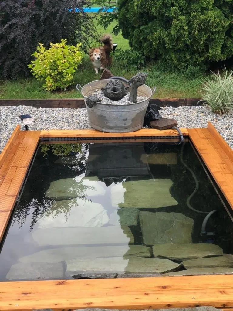 Swimming pool in Hotel Aloisia, Hotel Garni