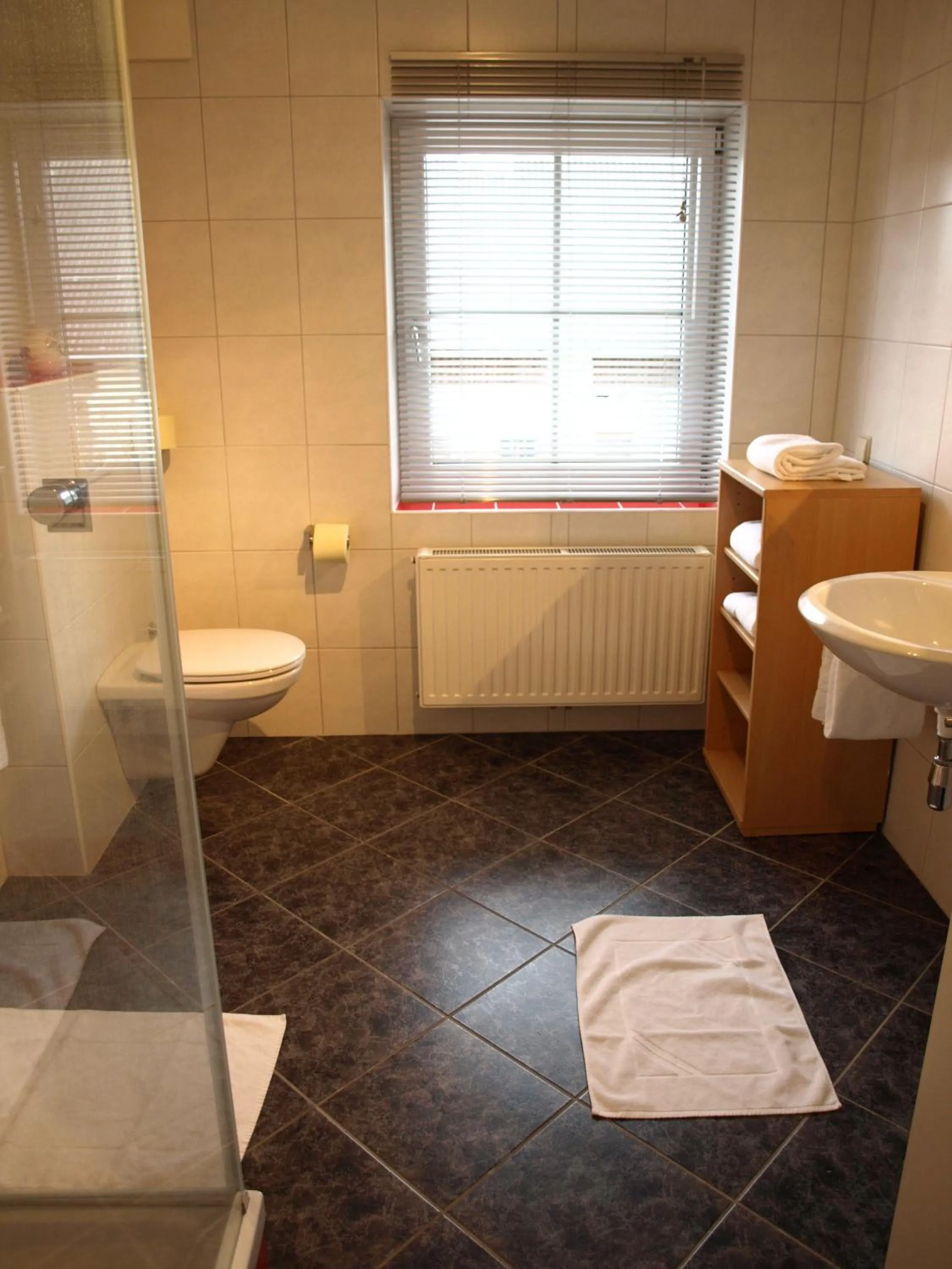 Shower in Hotel Aloisia, Hotel Garni