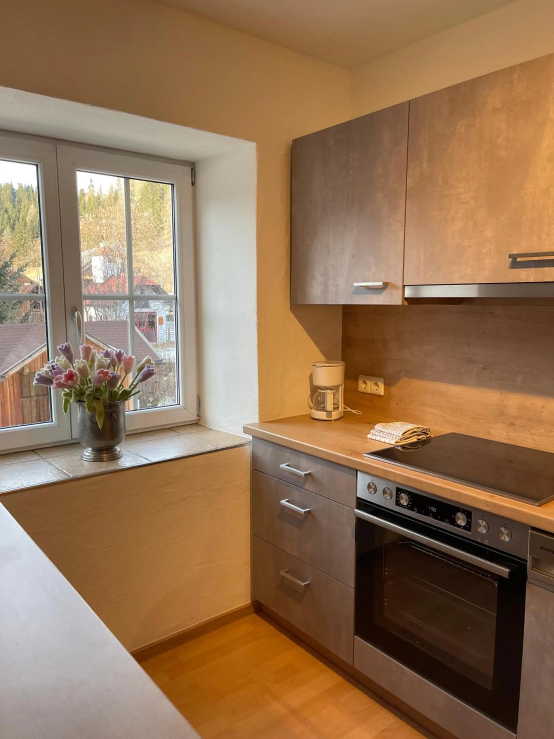 Kitchen or kitchenette in Hotel Aloisia, Hotel Garni