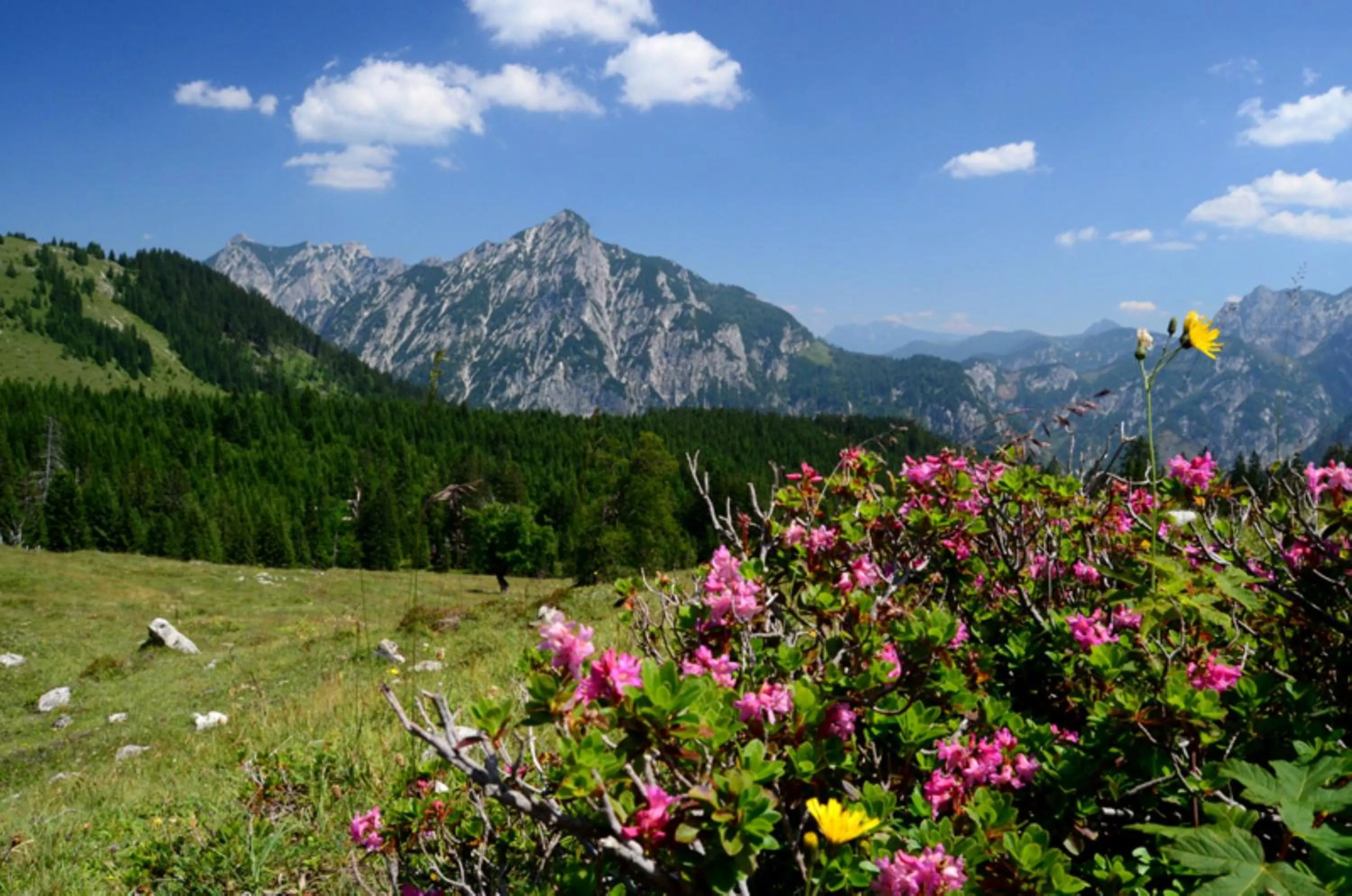 Nearby landmark in Alpenapartments Unterschlag