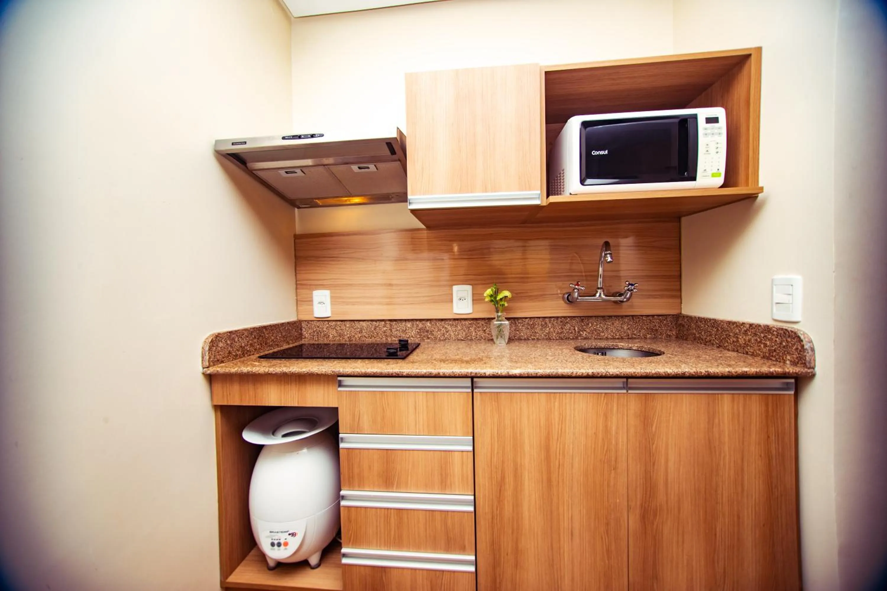 Kitchen or kitchenette in Blue Tree Towers Millenium Porto Alegre