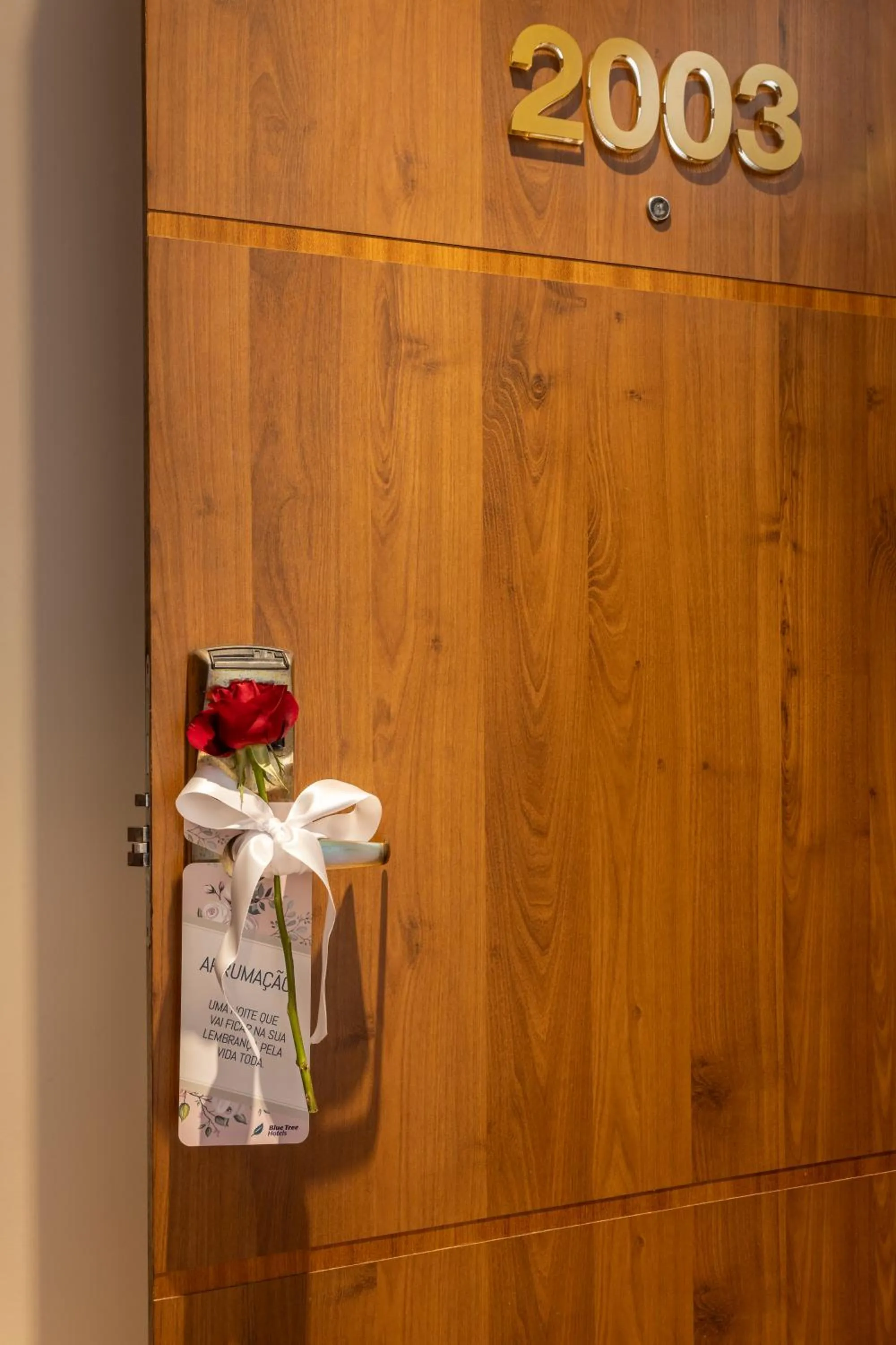 Decorative detail in Blue Tree Towers Millenium Porto Alegre