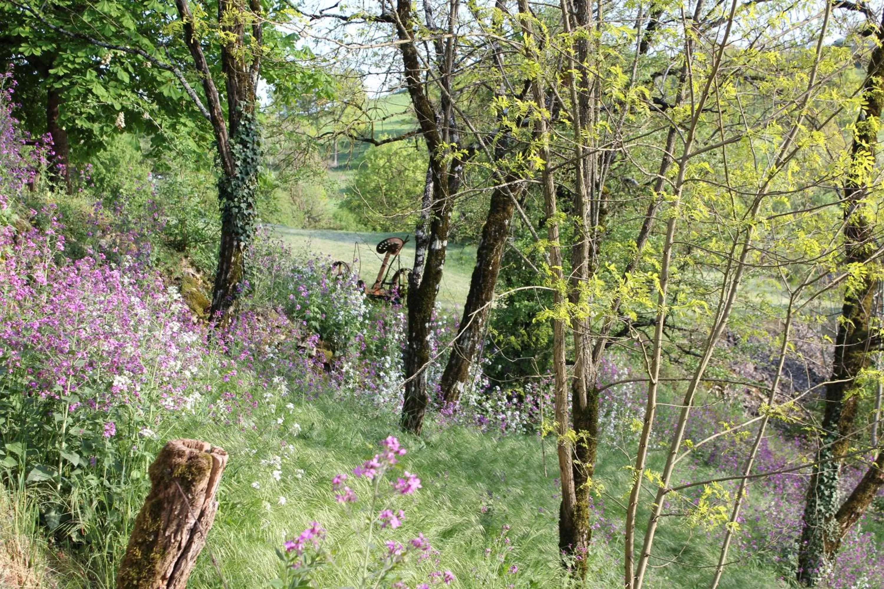 Natural landscape in Les Terrasses de Labade Gîte et Chambres d'hôtes