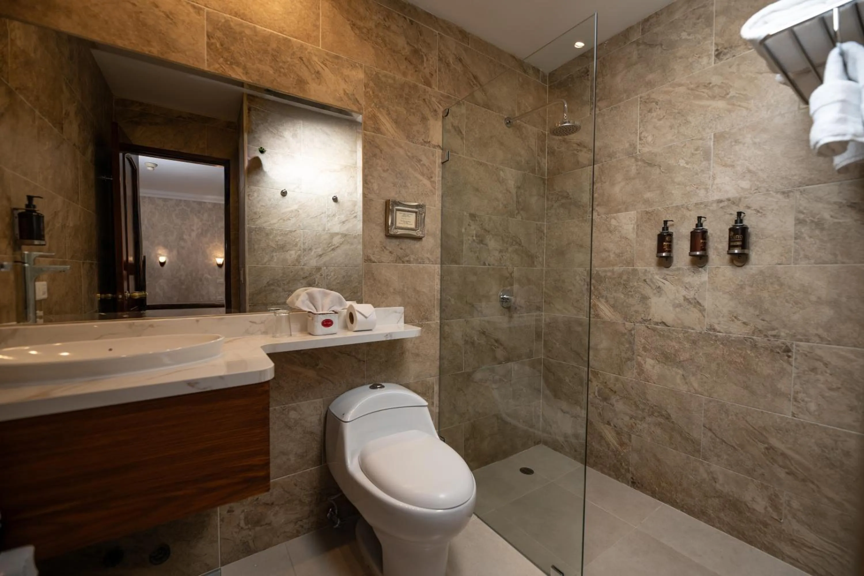 Toilet in Hotel Patio Andaluz