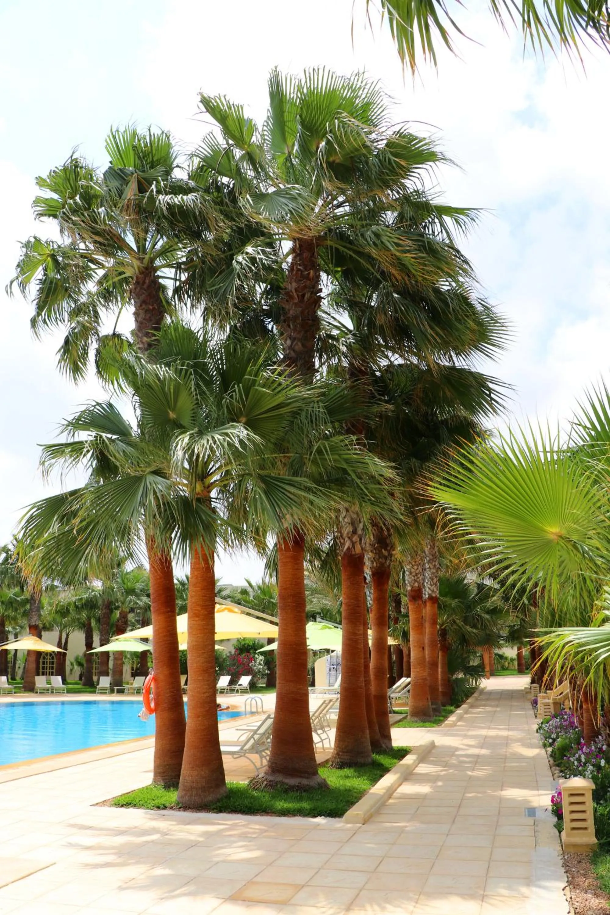 Property building in The Ksar Djerba Charming Hotel & SPA