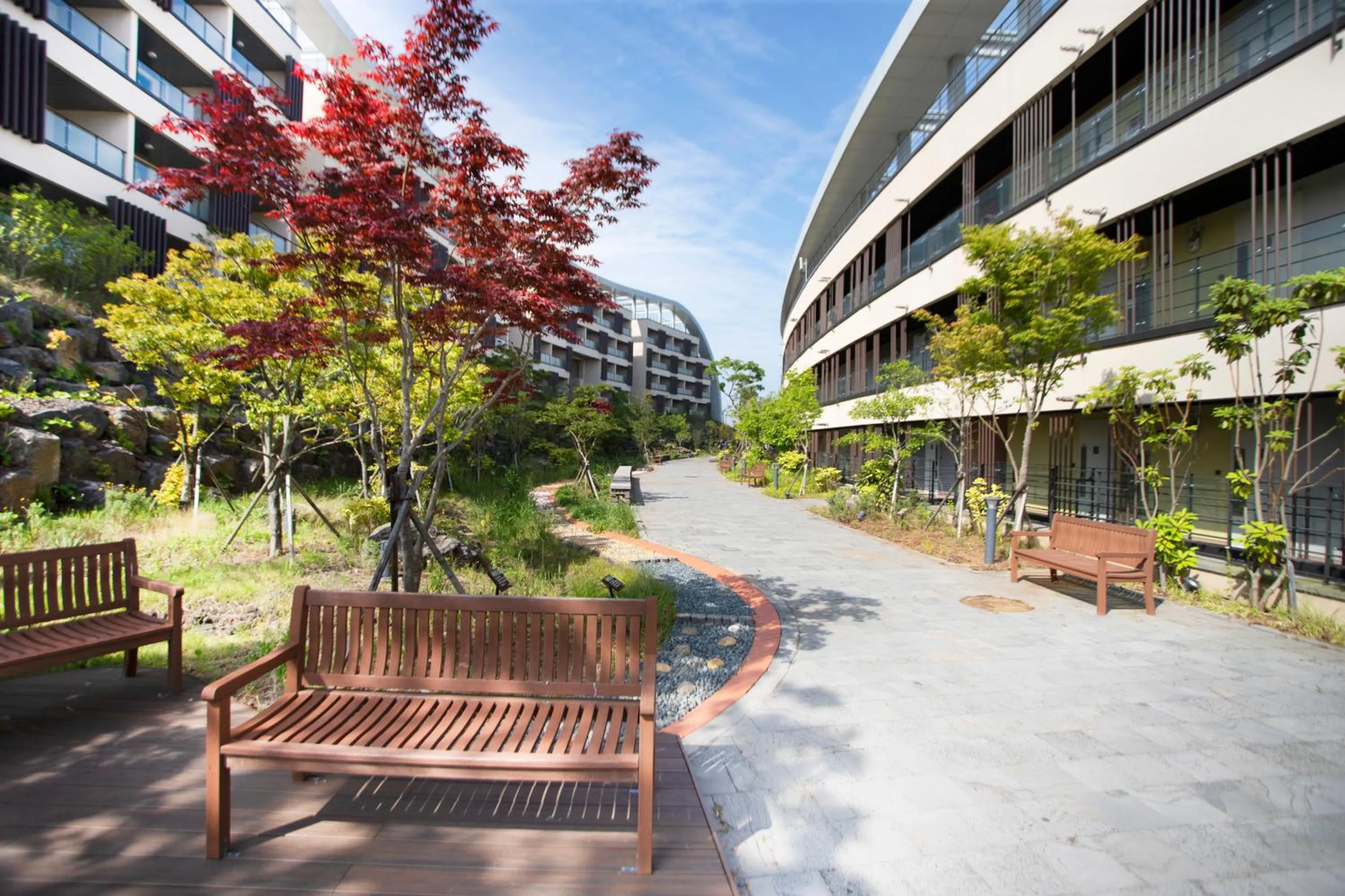 The Qube Resort Jeju