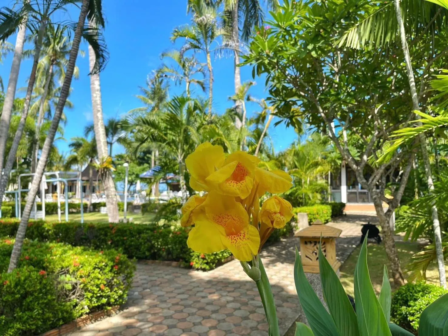 Andaman Lanta Resort - SHA Extra Plus