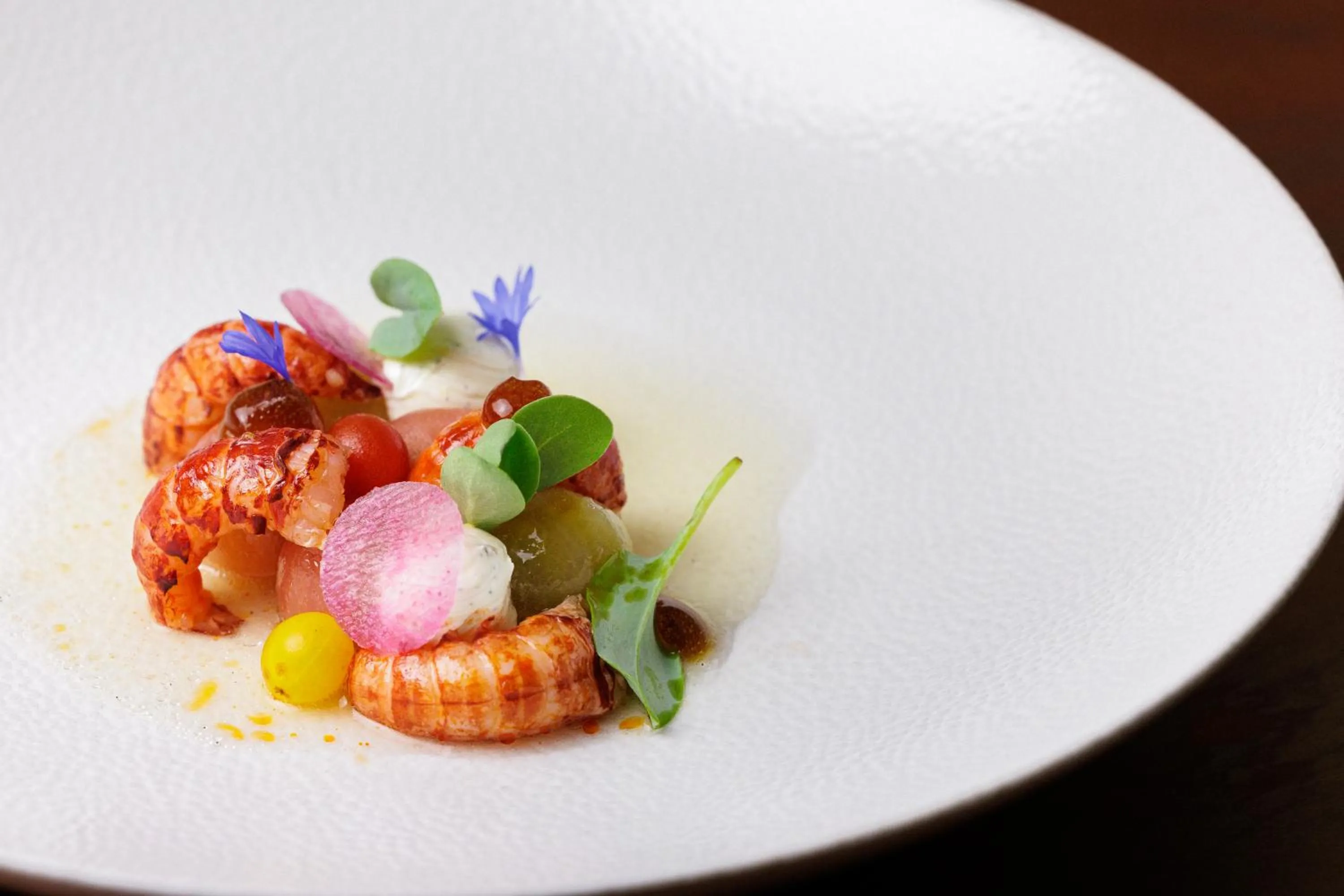 Food and drinks in Hotel de Sterrenberg - Adults Only