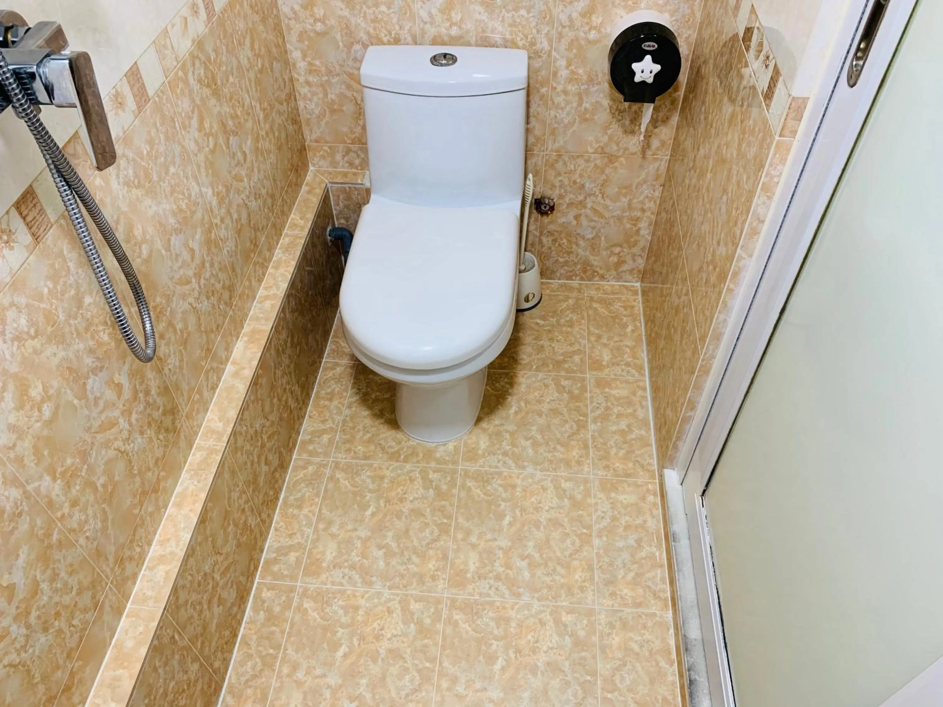 Toilet in Victoria Inn