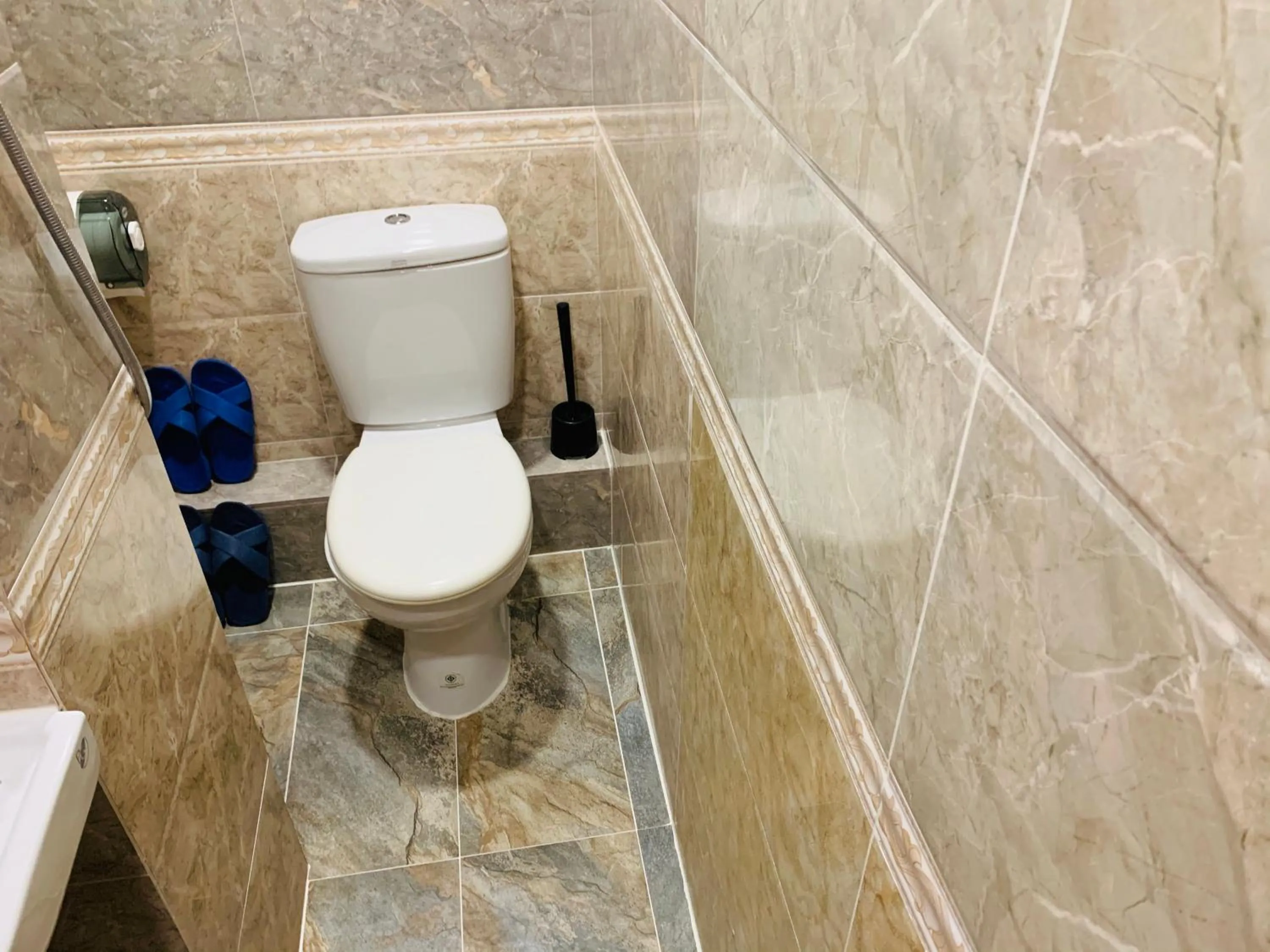 Toilet in Victoria Inn