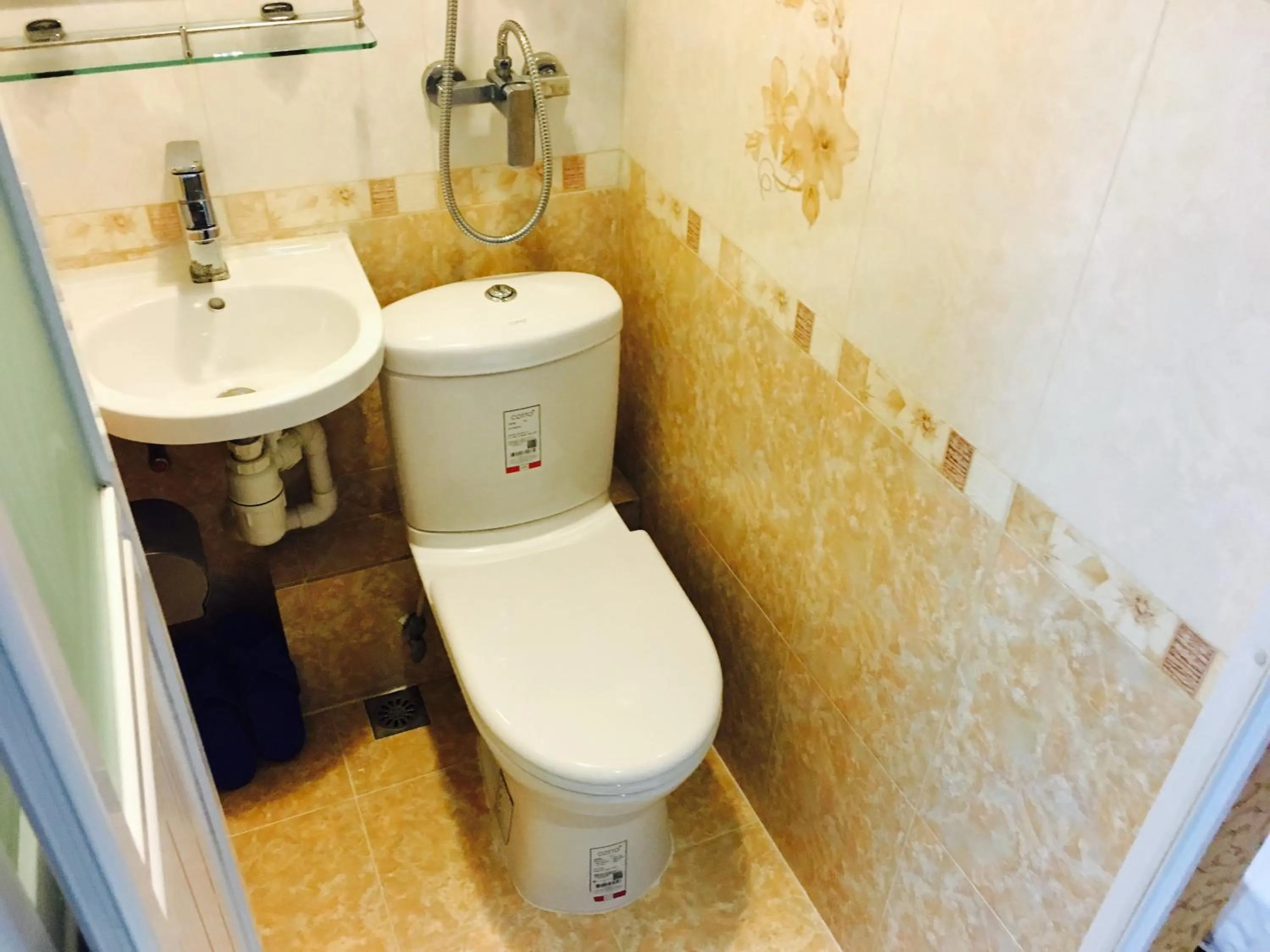 Toilet in Victoria Inn