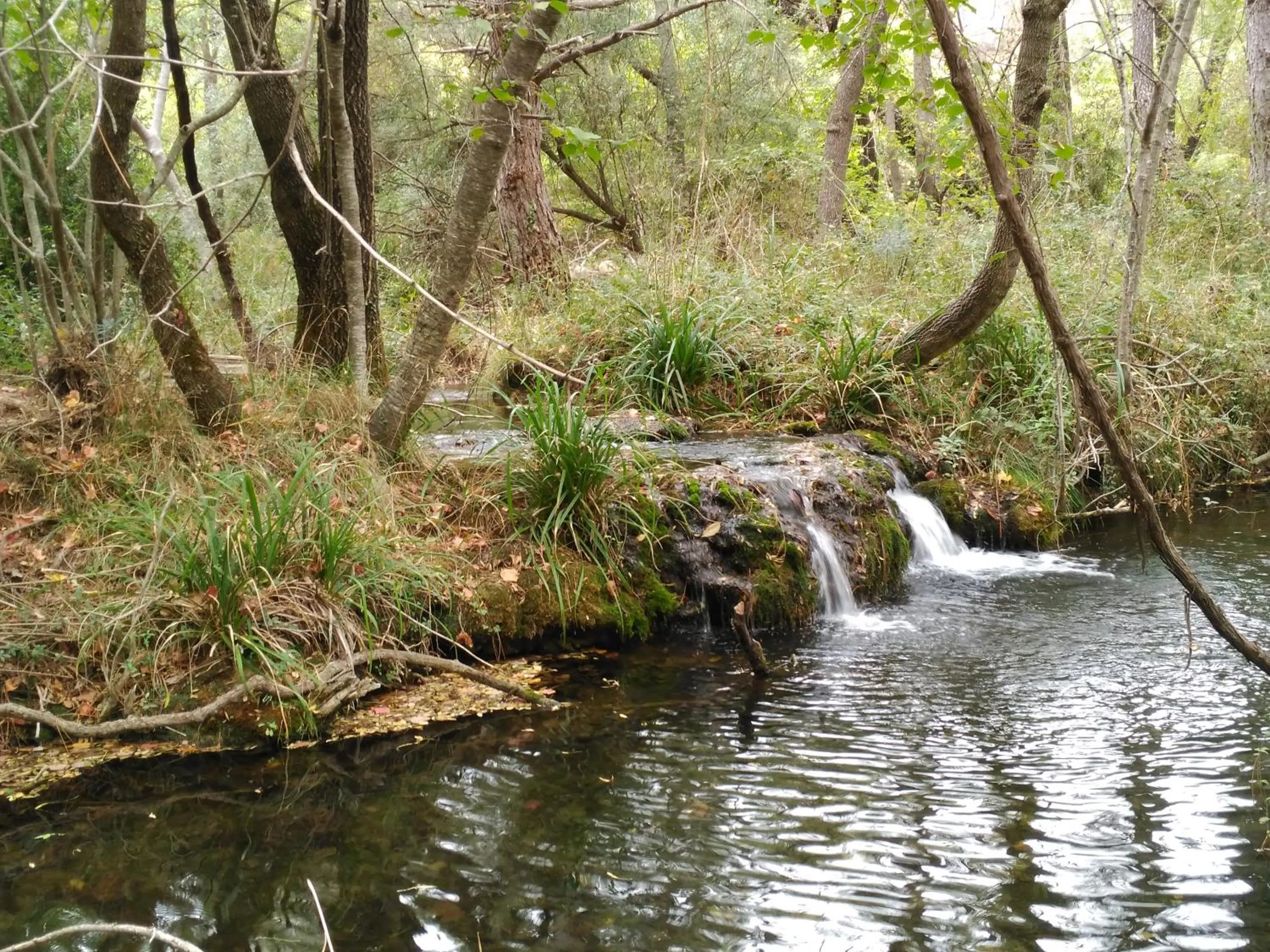 Off site in Apartamentos Valle del Guadalquivir
