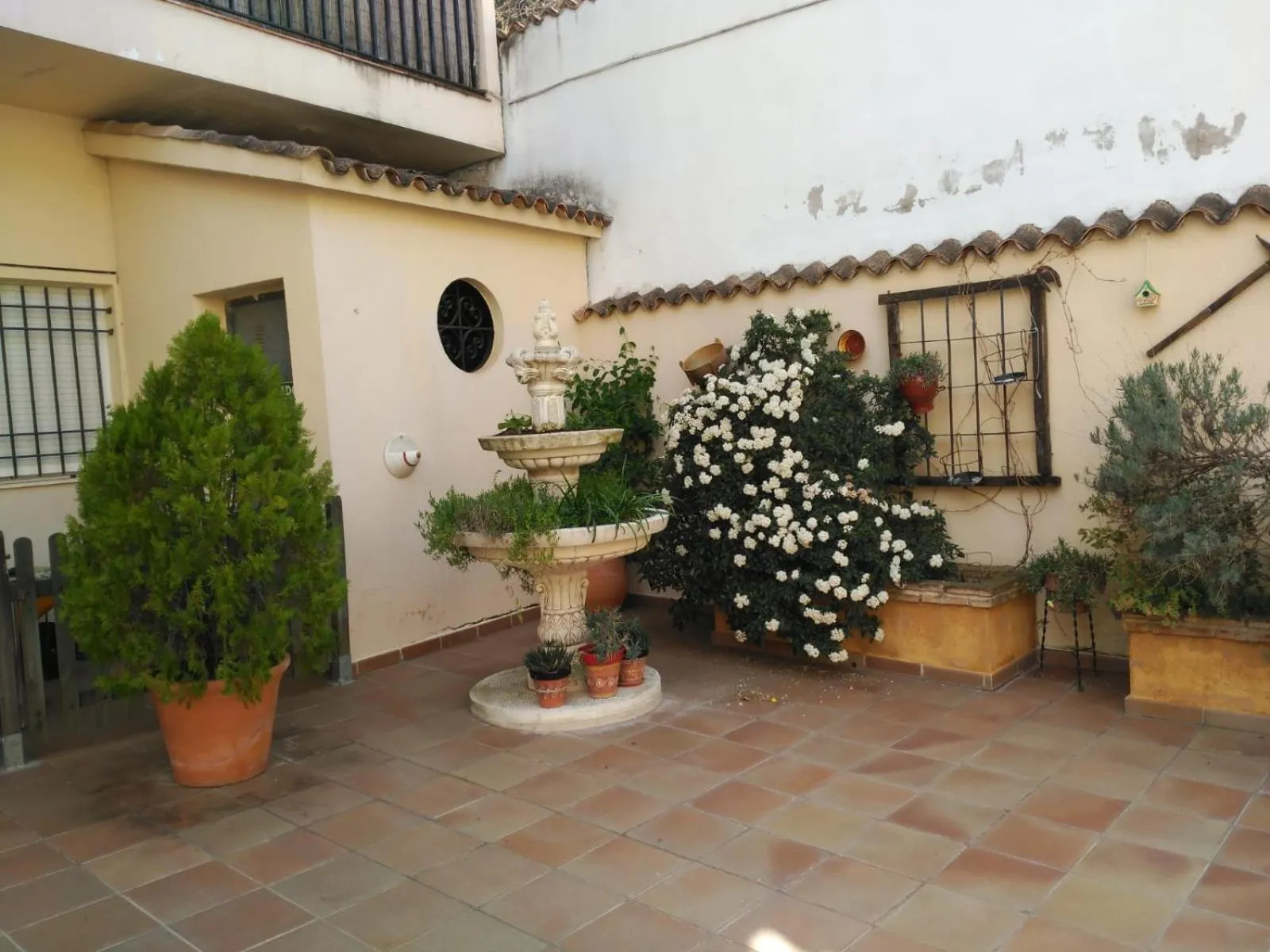 Patio in Apartamentos Valle del Guadalquivir