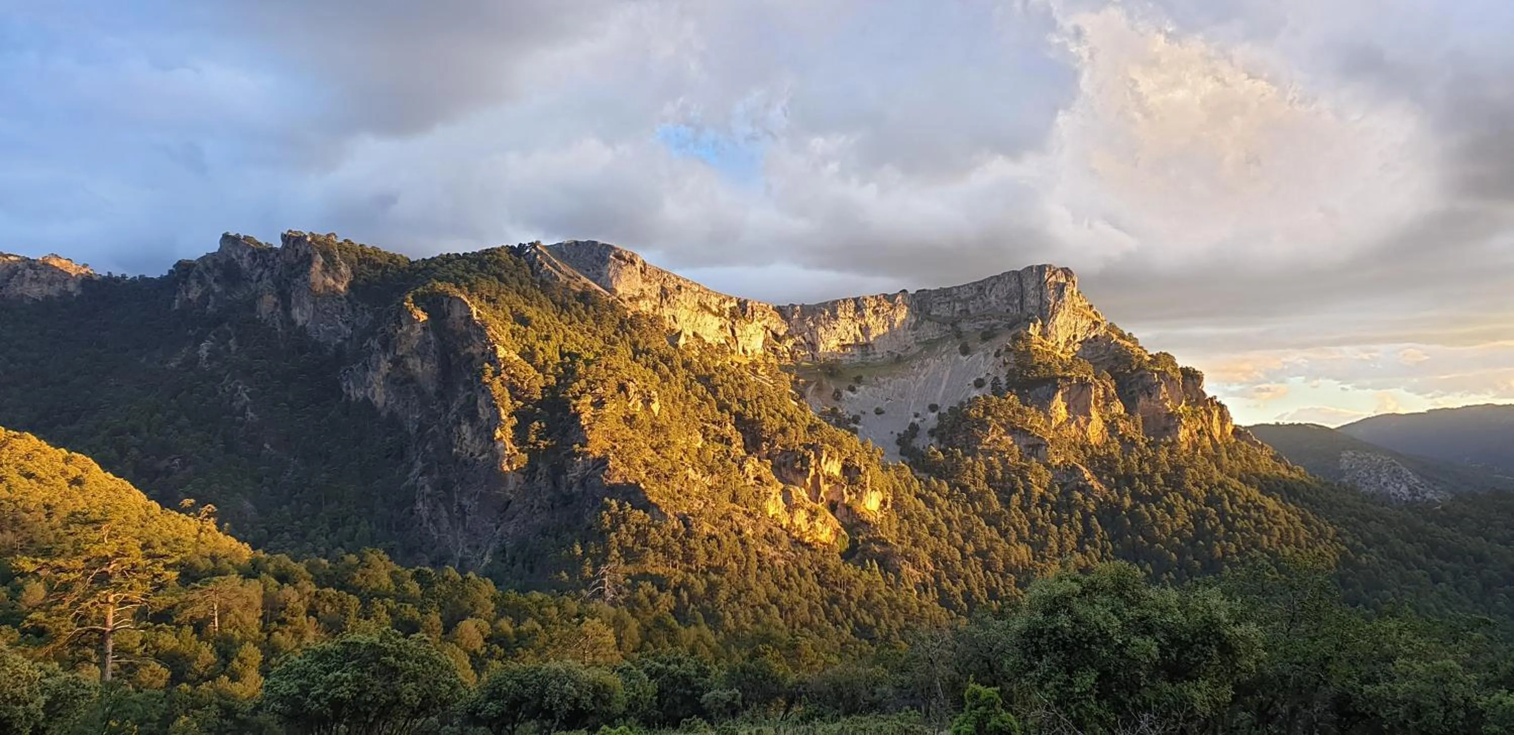 Natural landscape in Apartamentos Valle del Guadalquivir