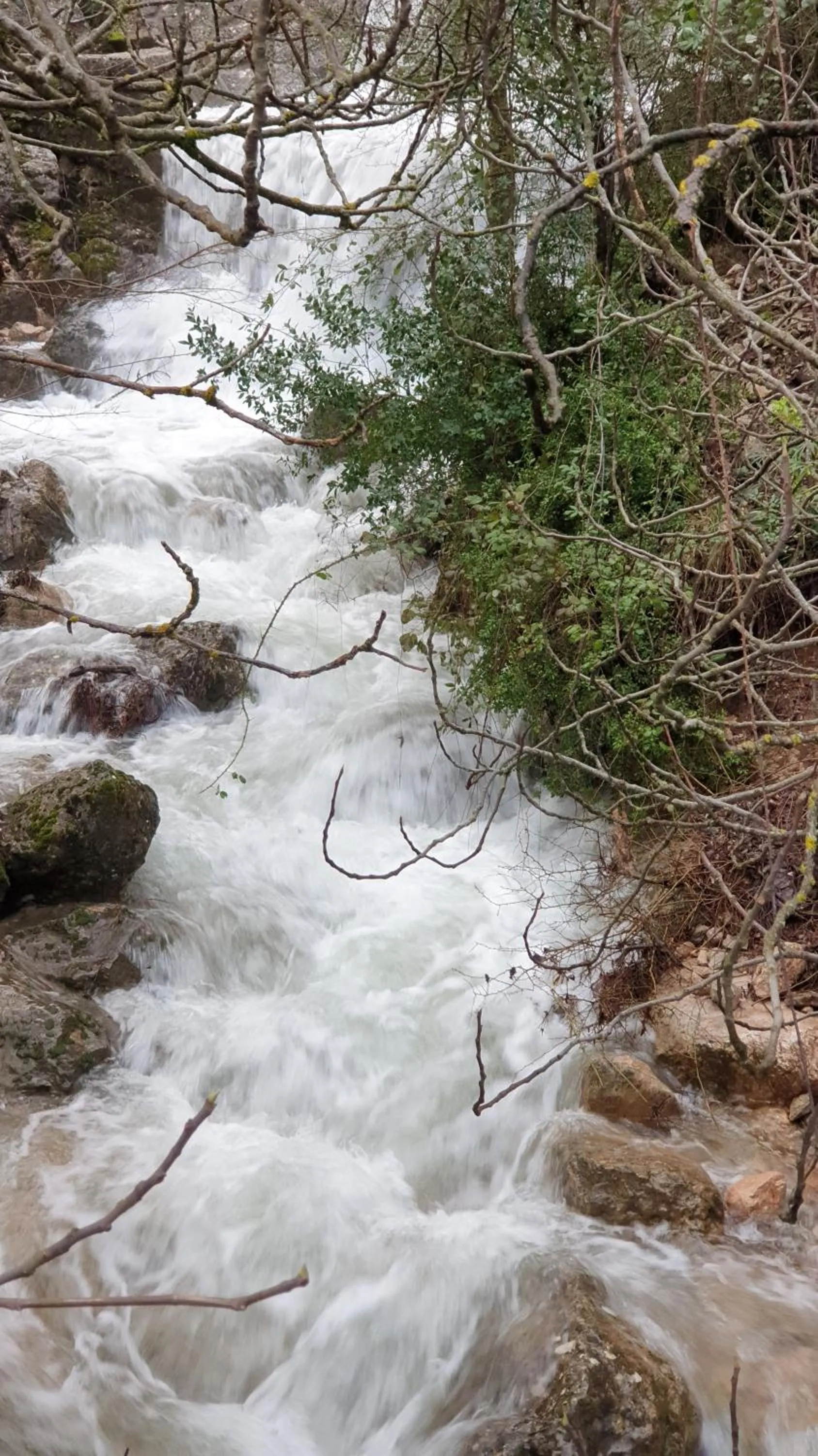 Natural landscape in Apartamentos Valle del Guadalquivir