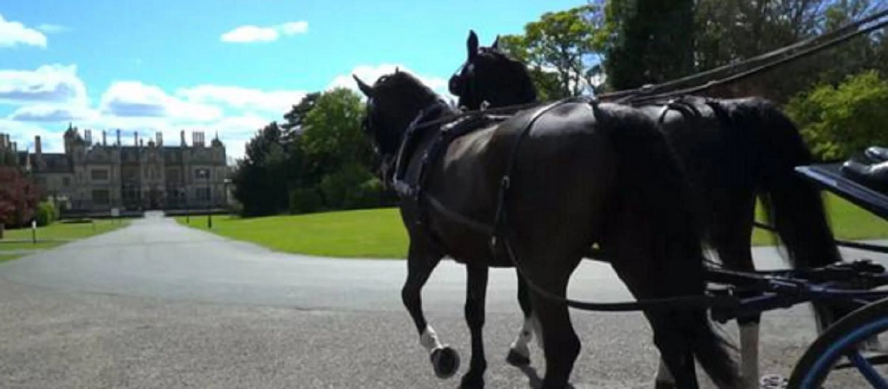 Garden in Stoke Rochford Hall