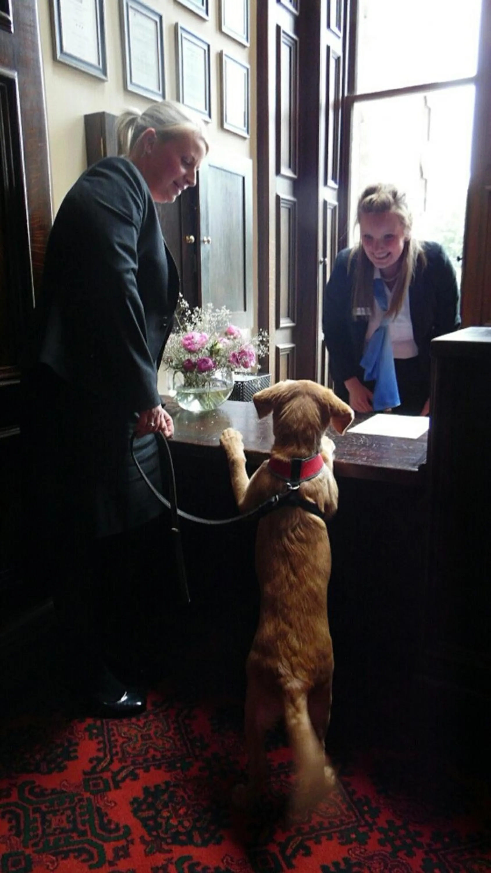 Staff in Stoke Rochford Hall