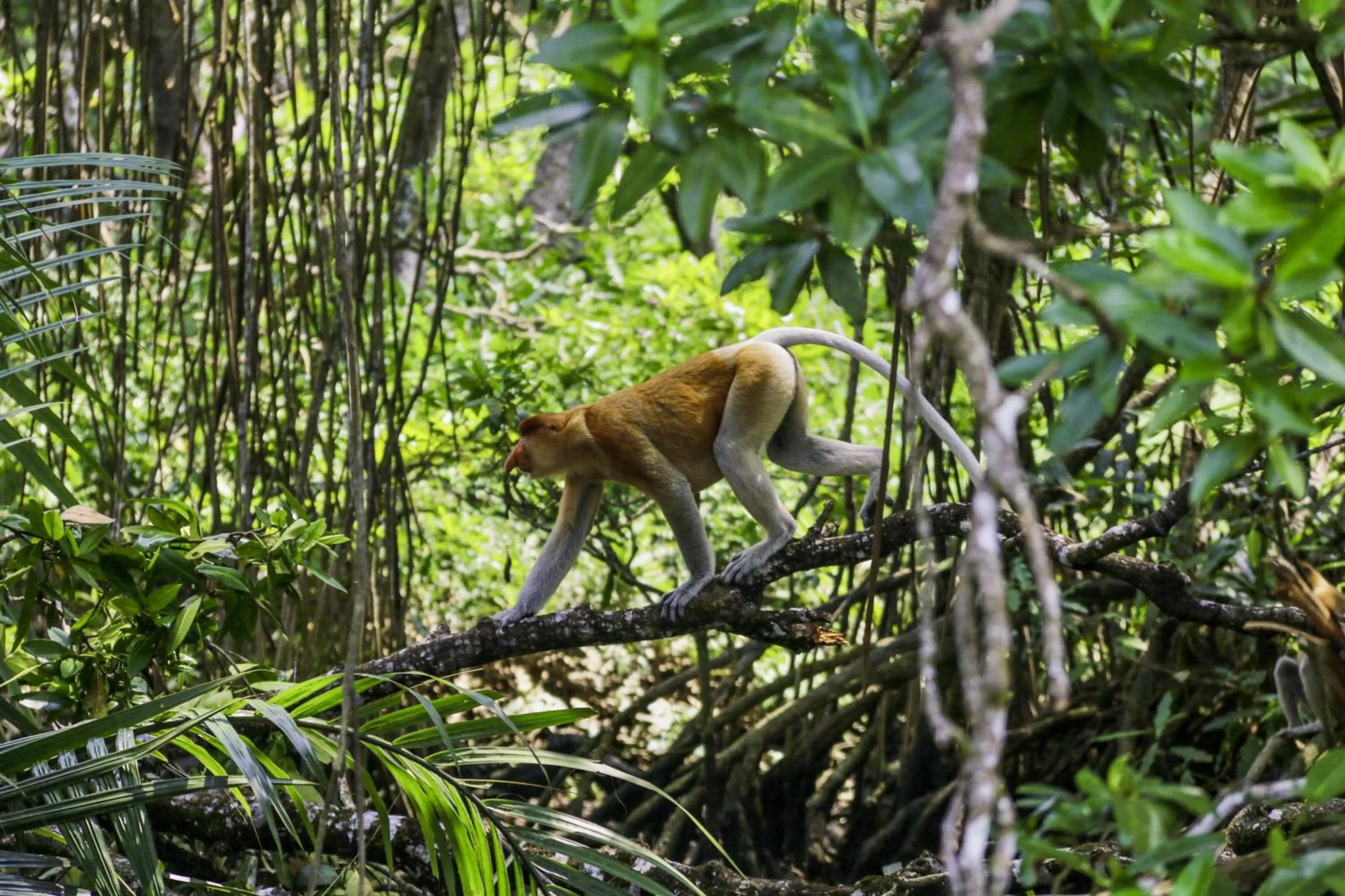 Nearby landmark in Radisson Hotel Brunei Darussalam