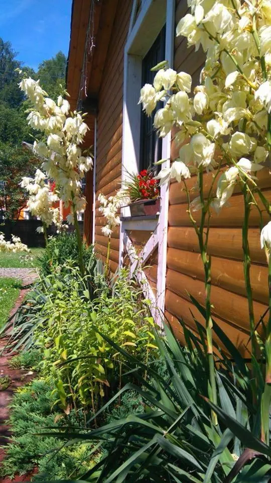 Garden in Gosciniec Pod Brzegiem