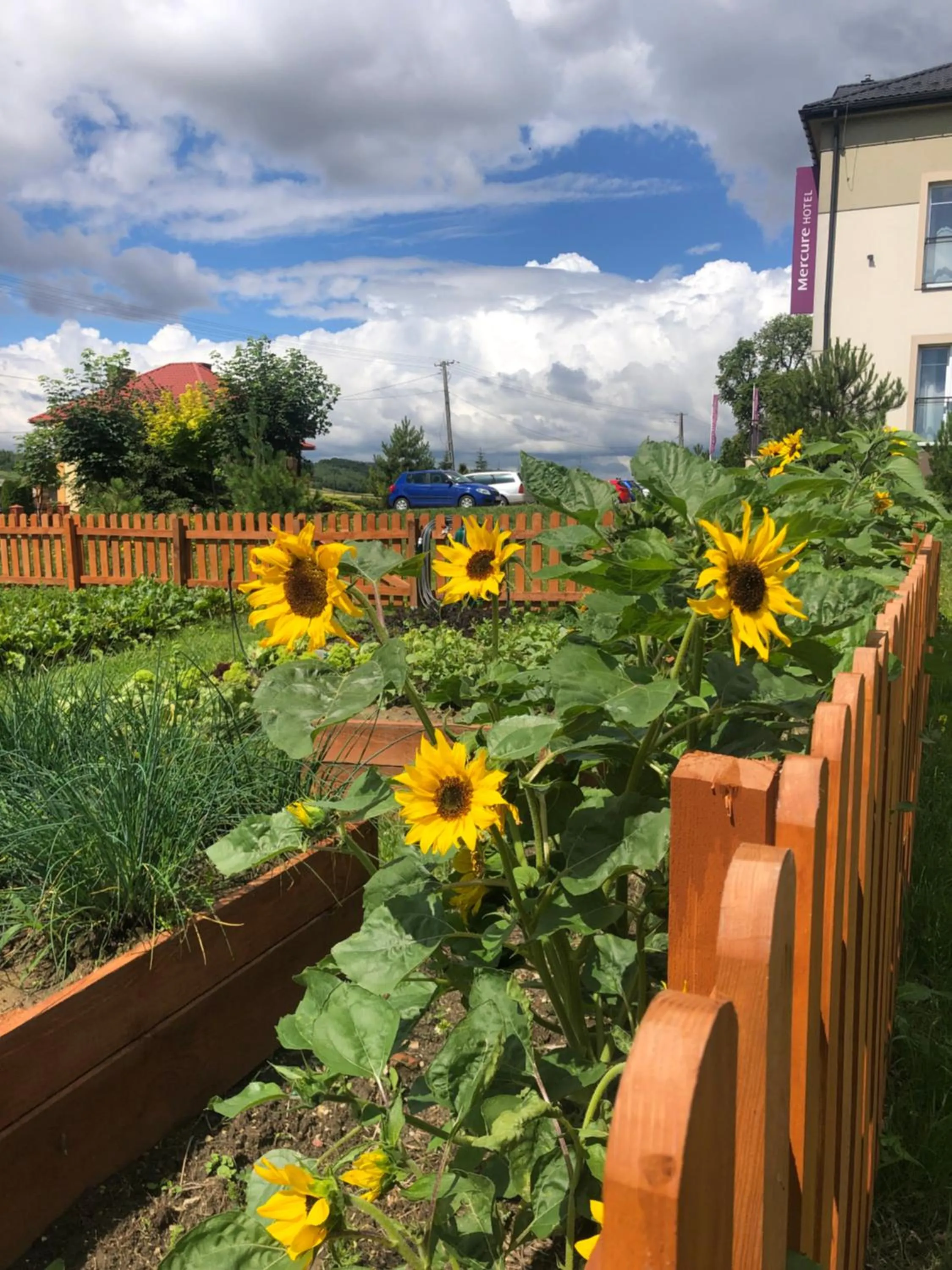 Garden in Dosłońce Resort Wellness & Farm