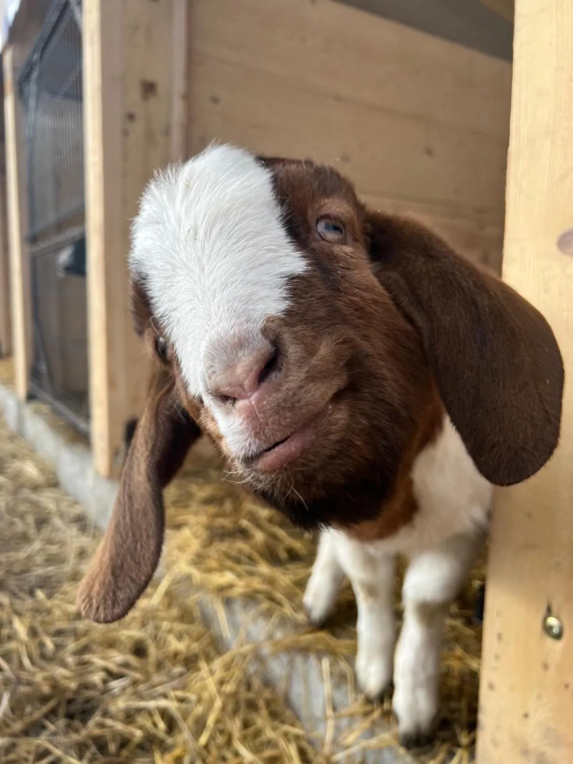 Garden in Dosłońce Resort Wellness & Farm