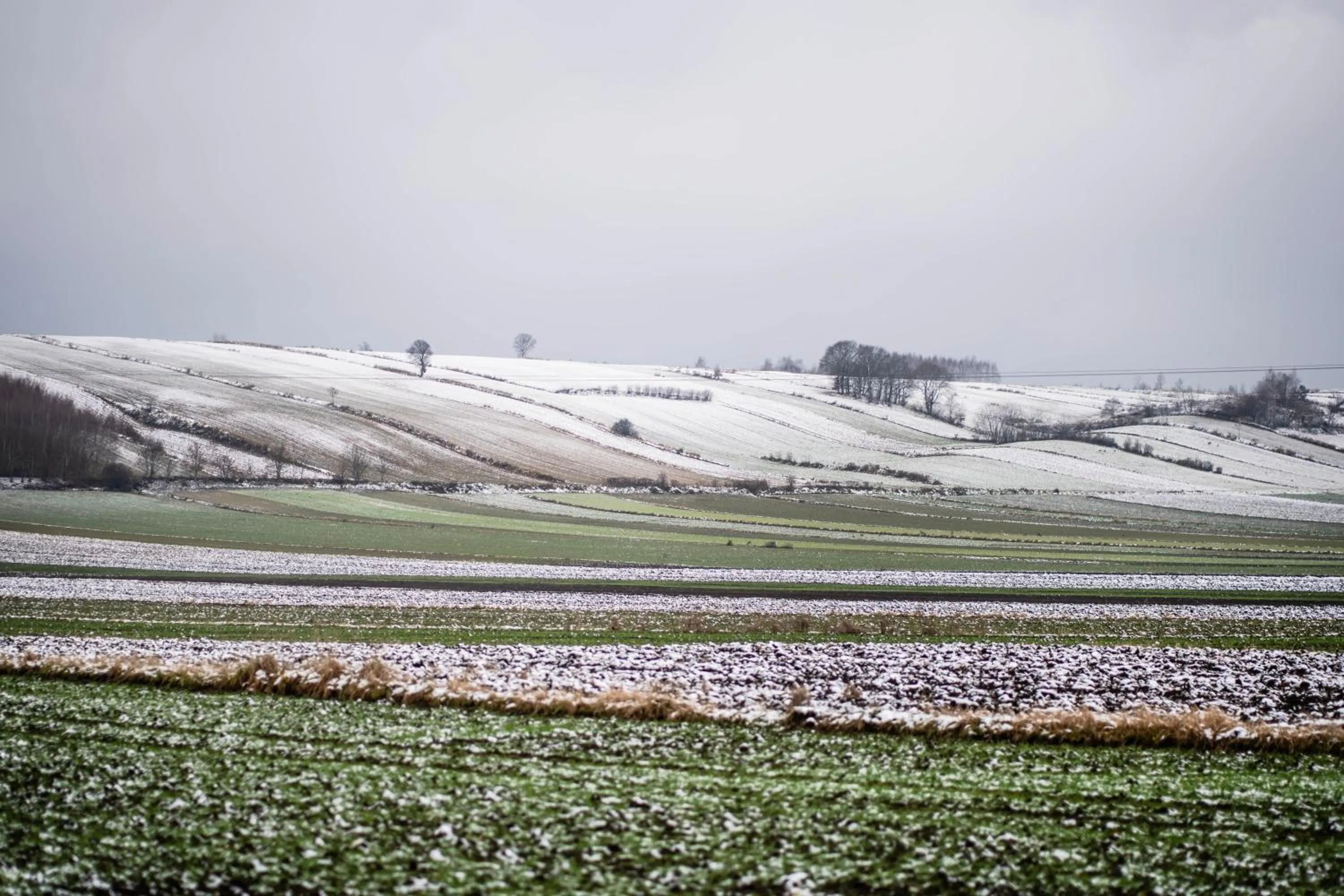 Area and facilities in Dosłońce Resort Wellness & Farm
