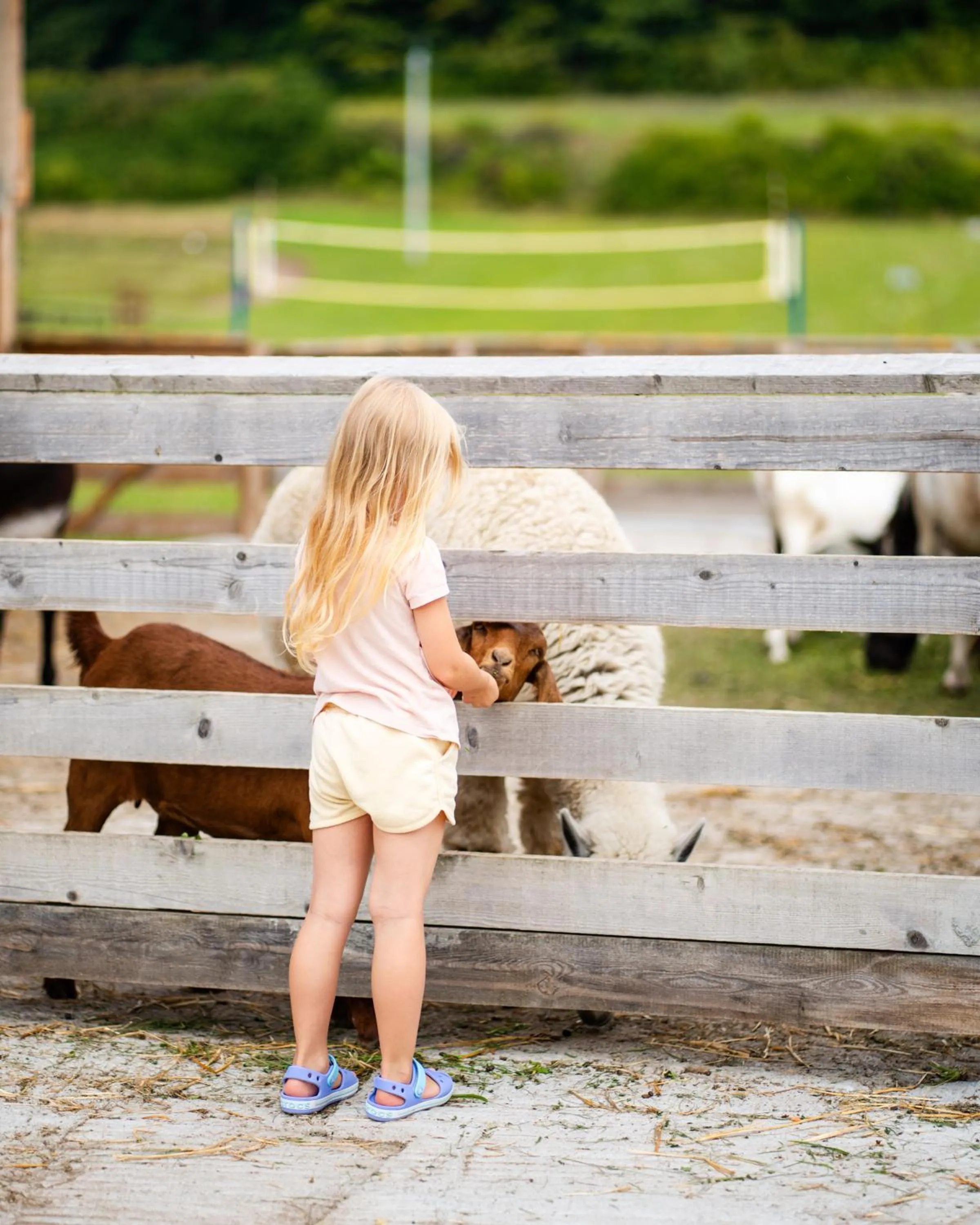 Dosłońce Resort Wellness & Farm